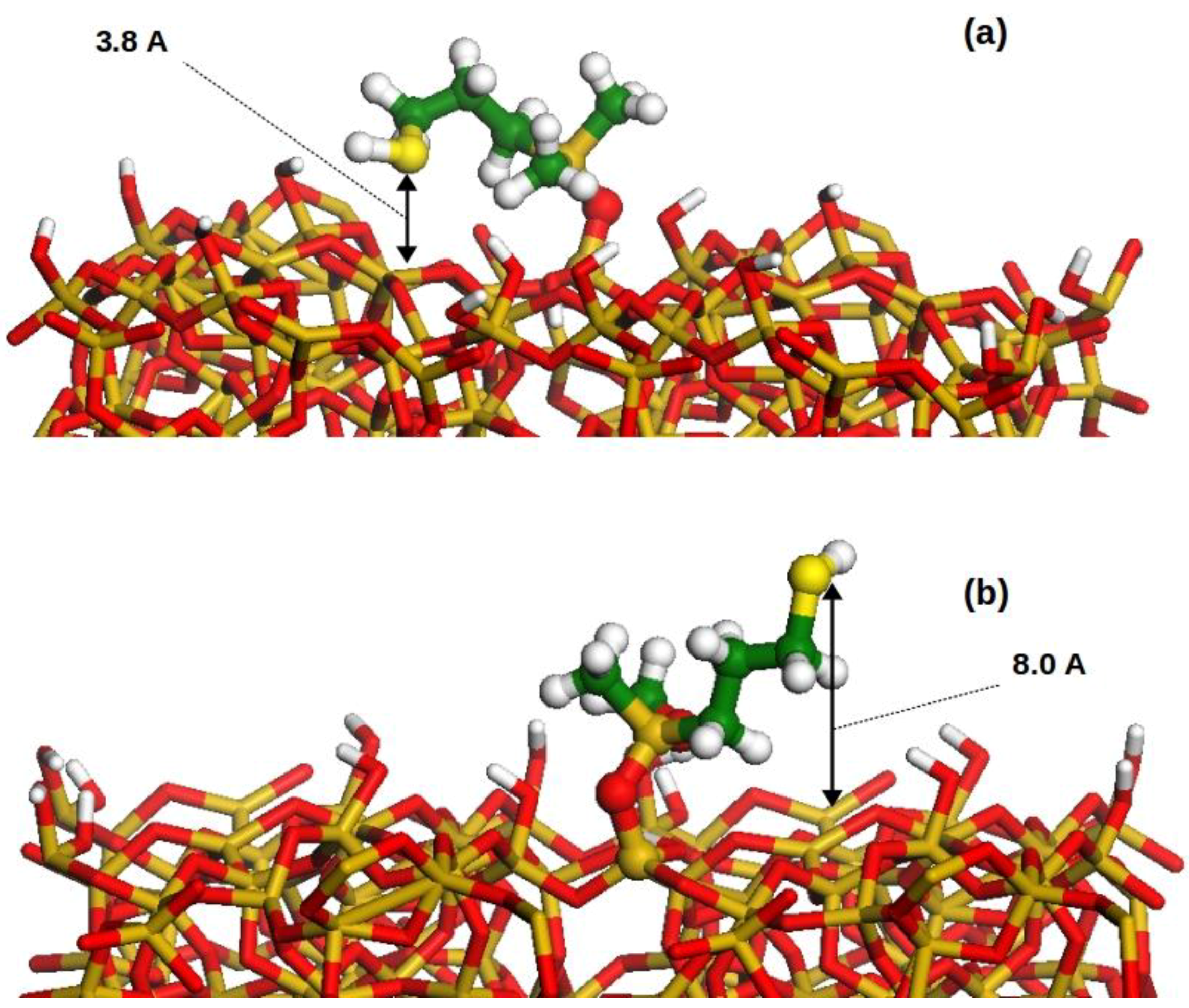 Molecules 24 00848 g008