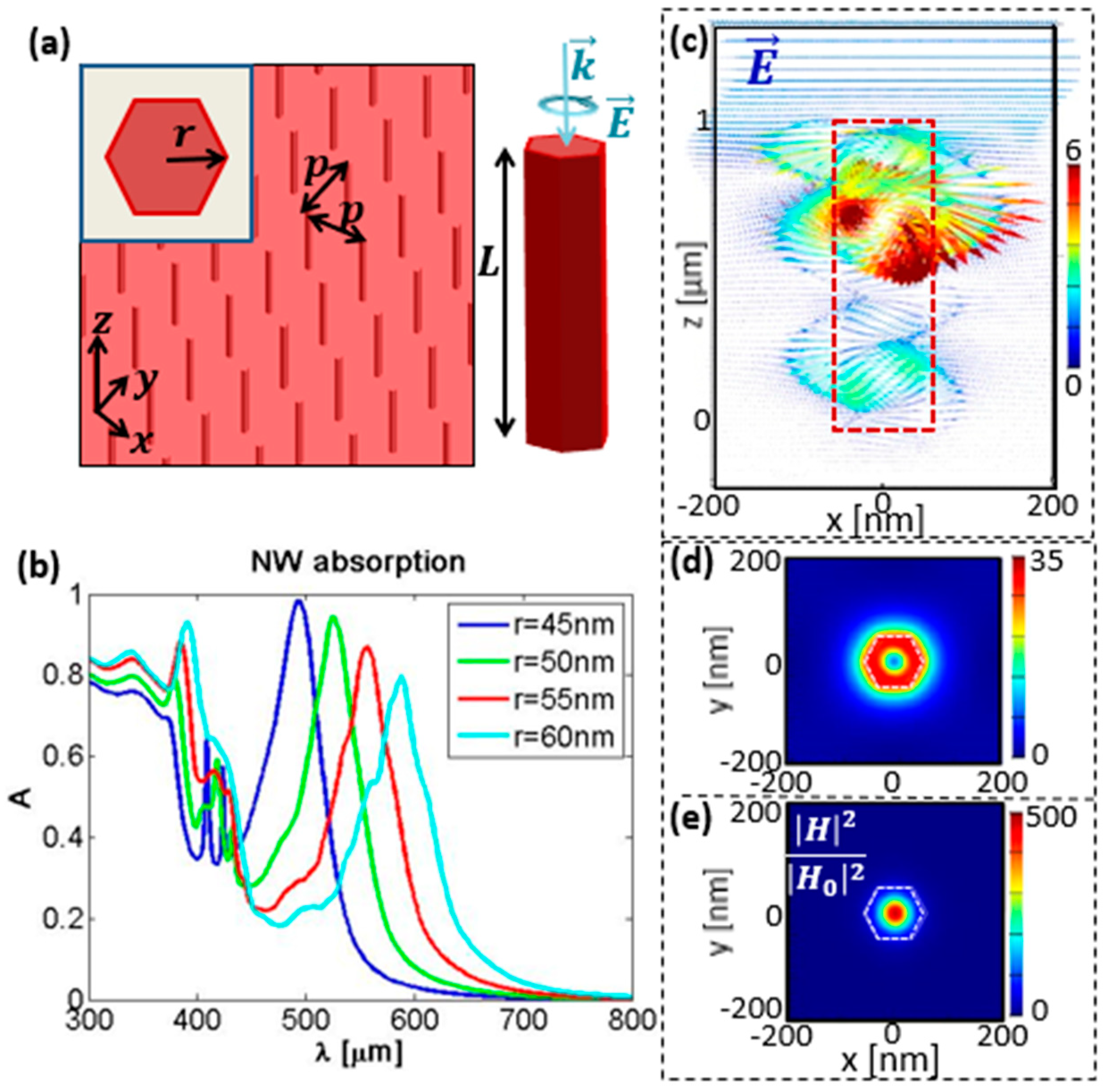 Molecules 24 00853 g001