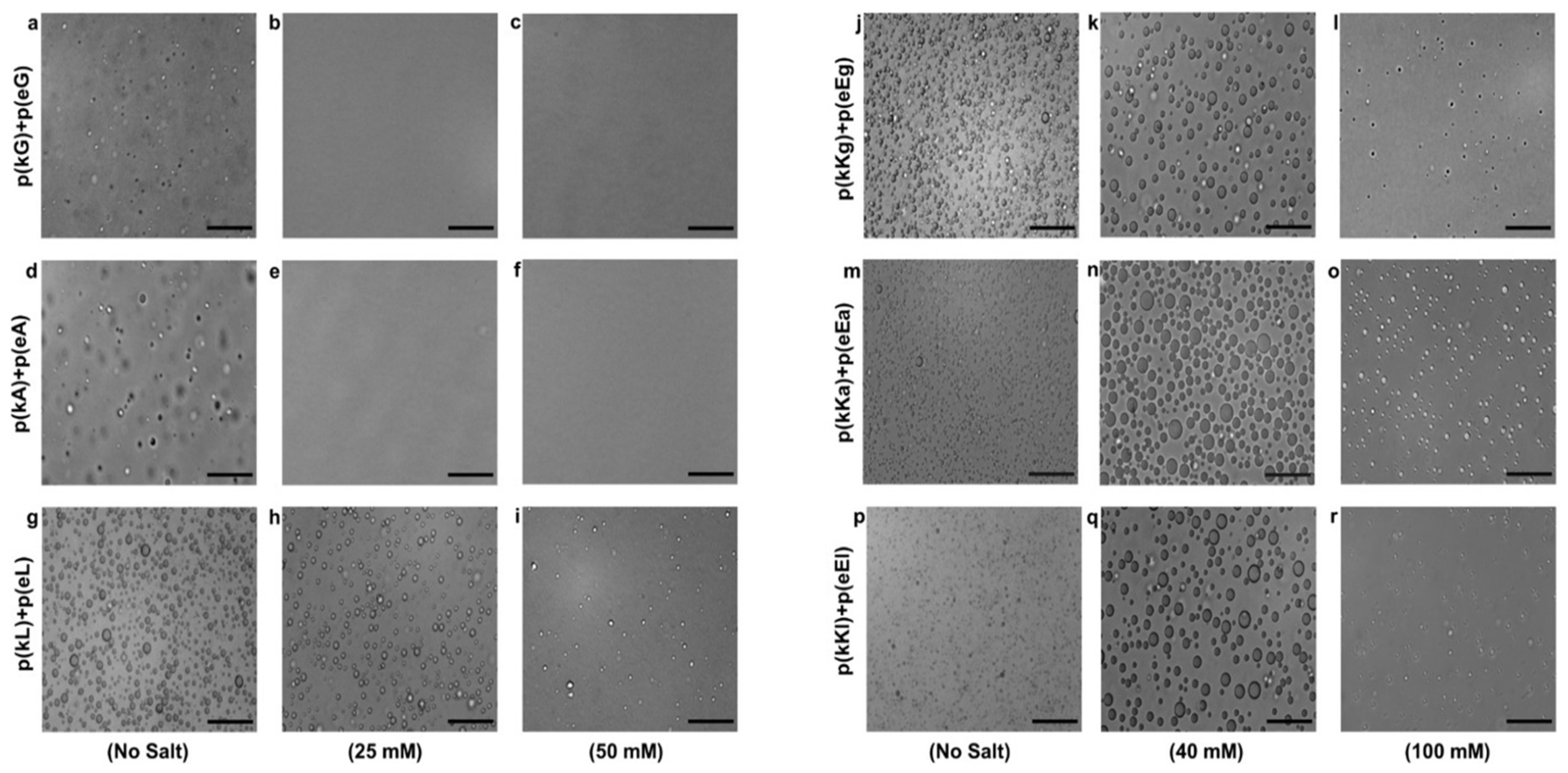 Molecules 24 00868 g004