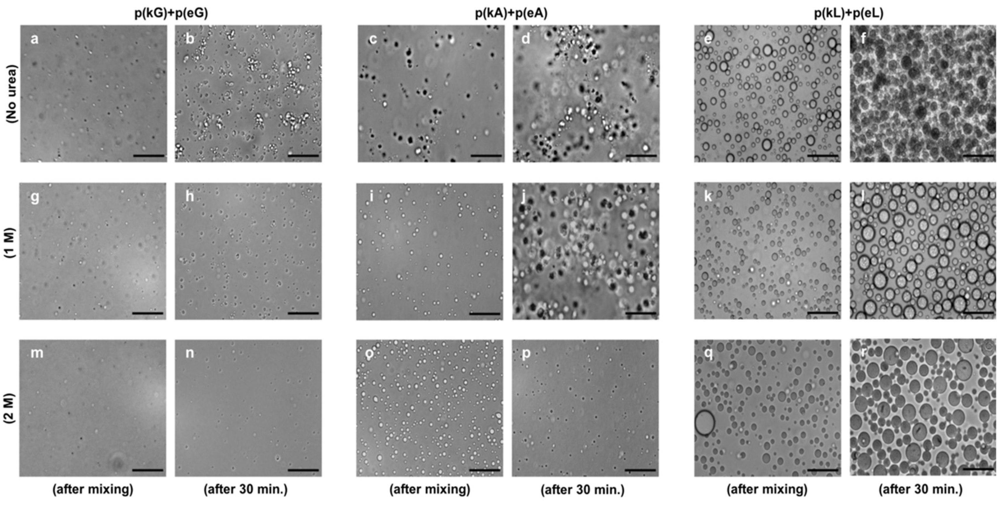 Molecules 24 00868 g005
