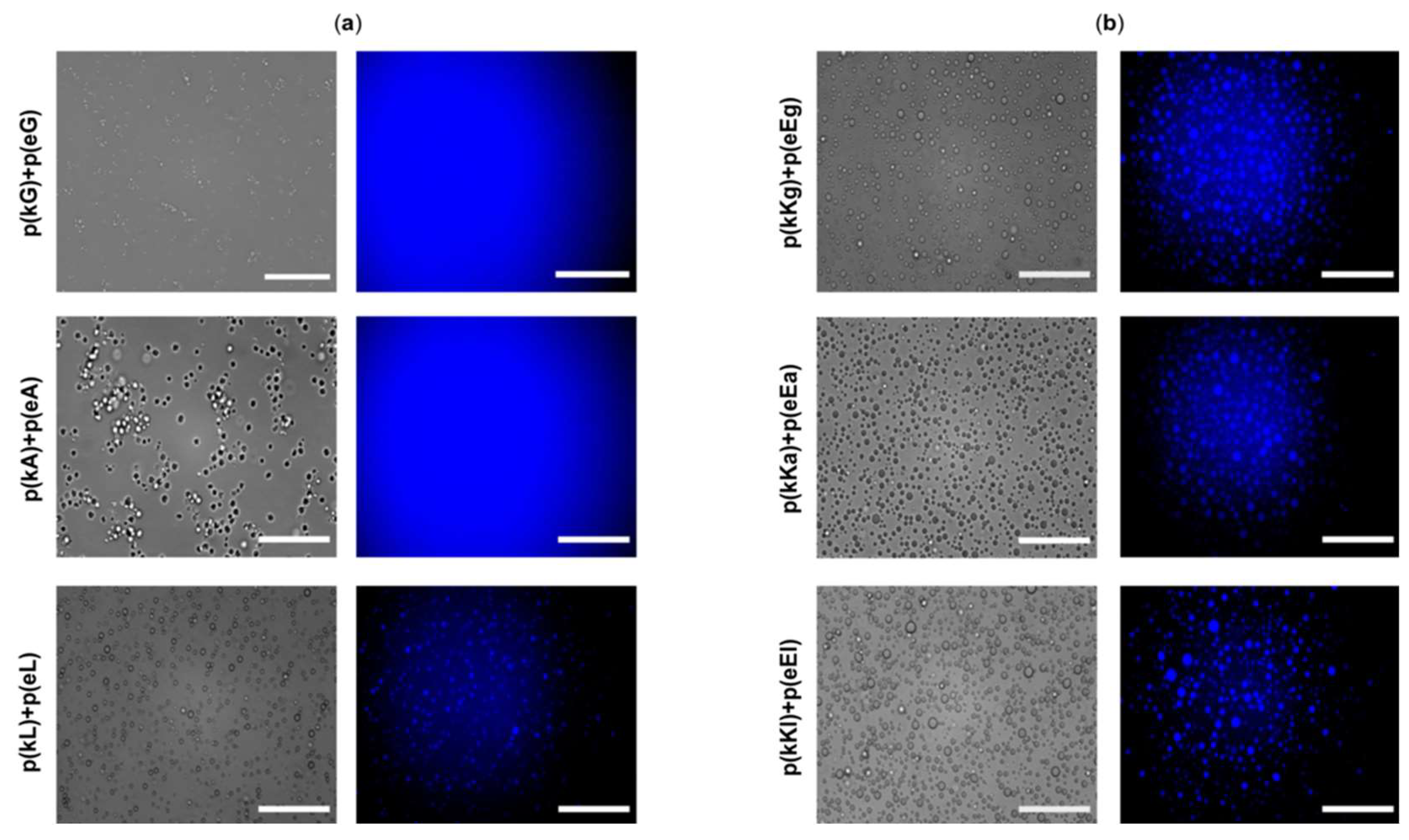 Molecules 24 00868 g008