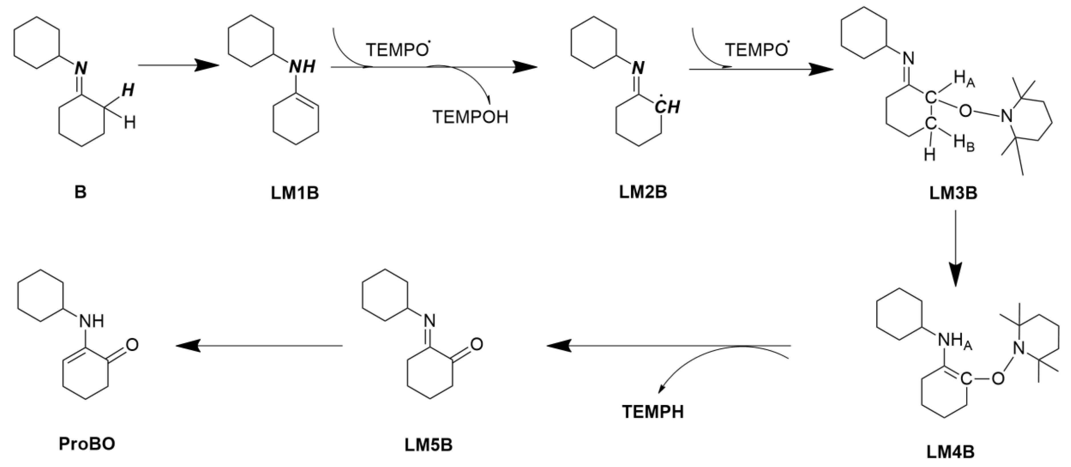Molecules 24 00869 g005