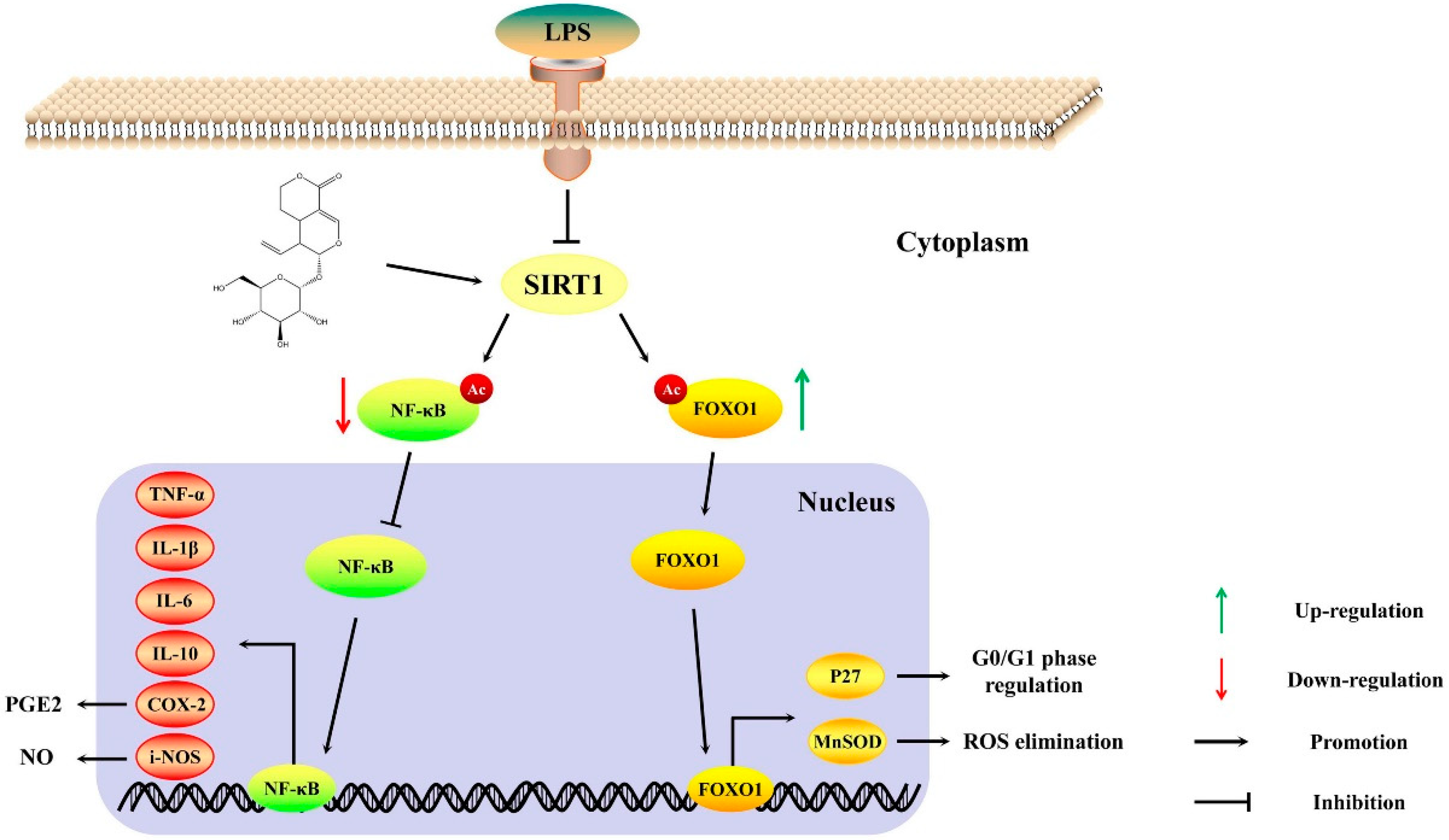 Molecules 24 00872 g006
