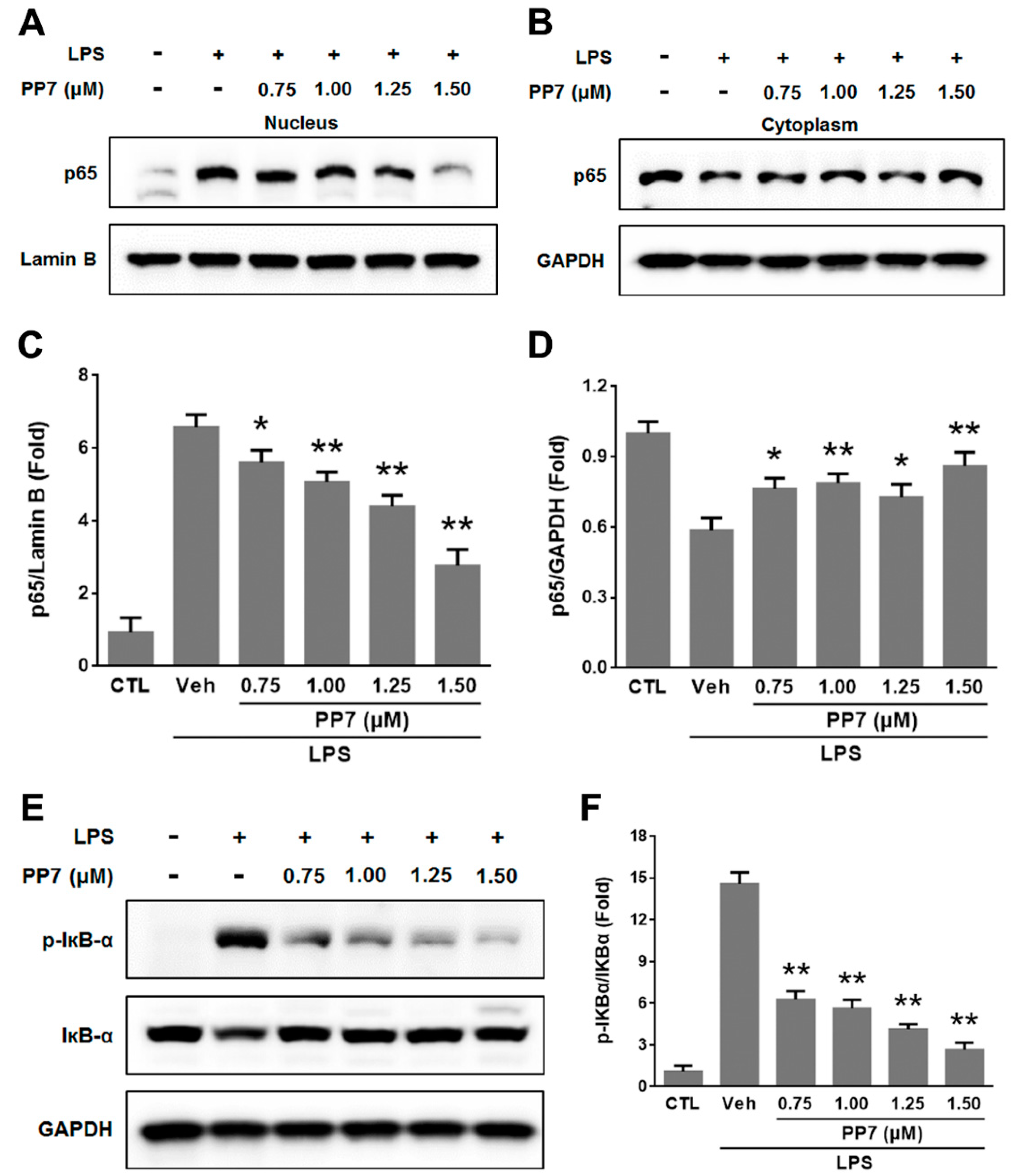Molecules 24 00875 g003