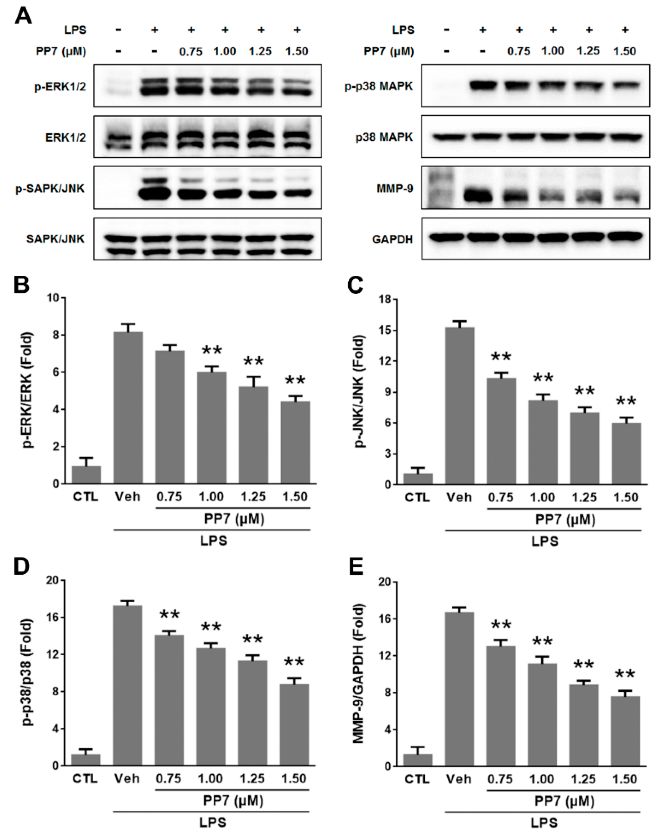 Molecules 24 00875 g004