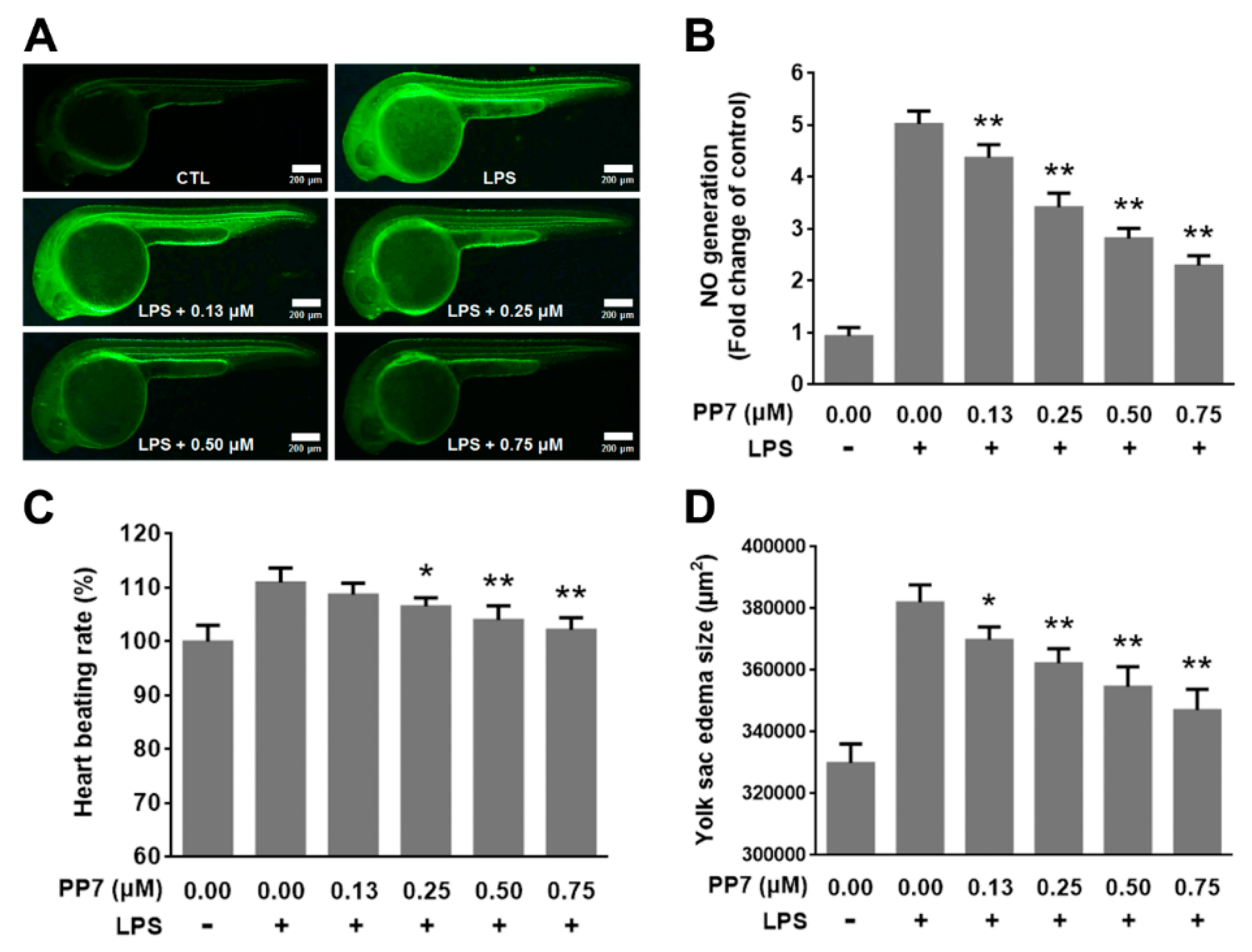 Molecules 24 00875 g005