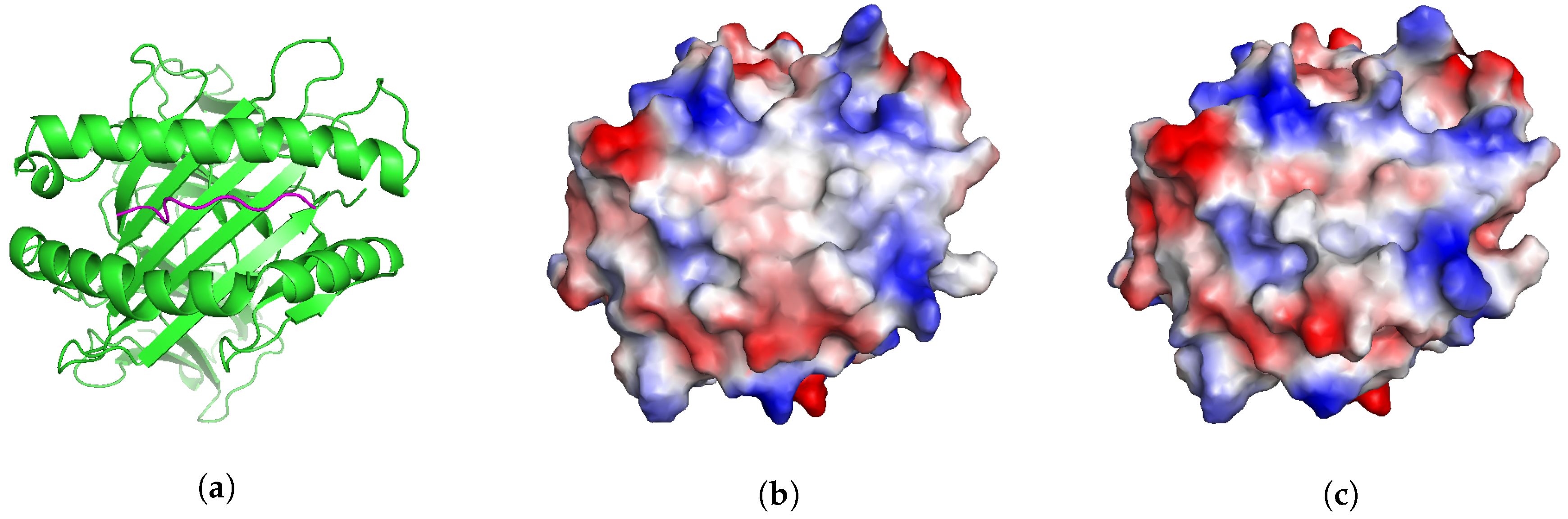 Molecules 24 00881 g003 Molecules 24 00881 g003
