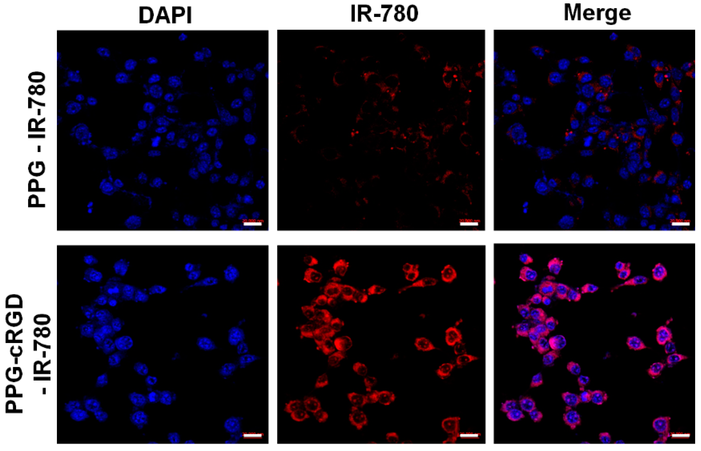 Molecules 24 00885 g006