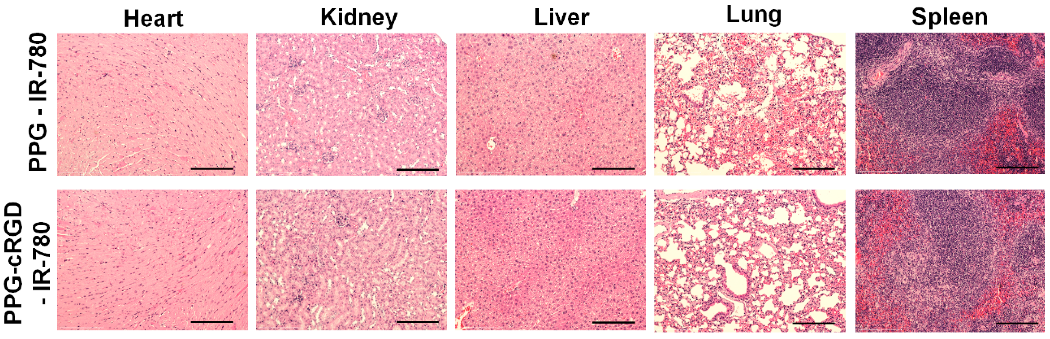 Molecules 24 00885 g009