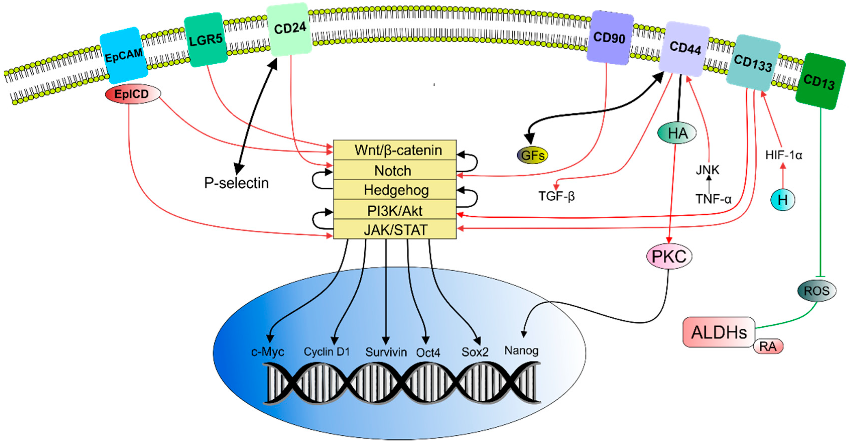 Molecules 24 00899 g001