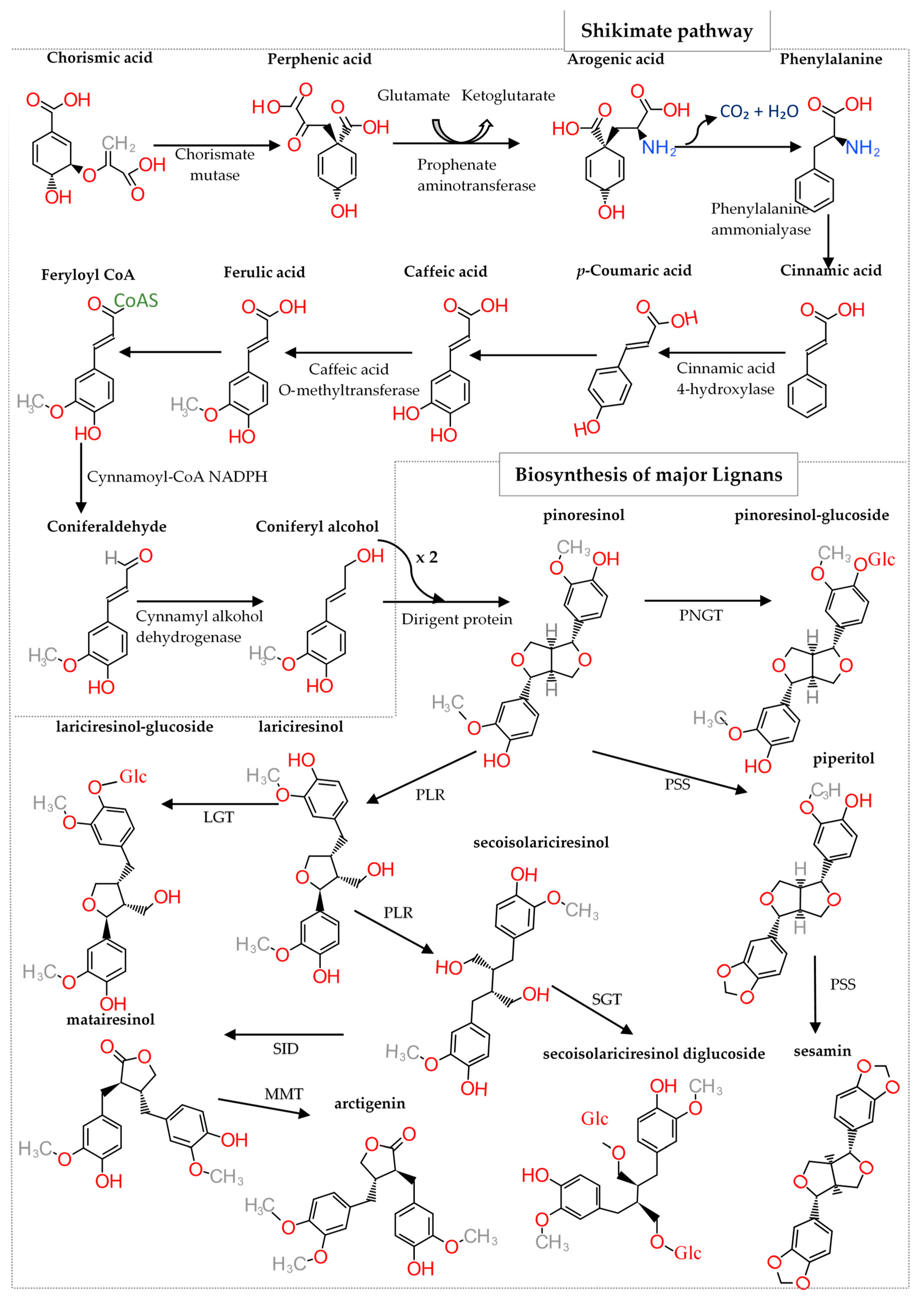 Molecules 24 00917 g002 Molecules 24 00917 g002