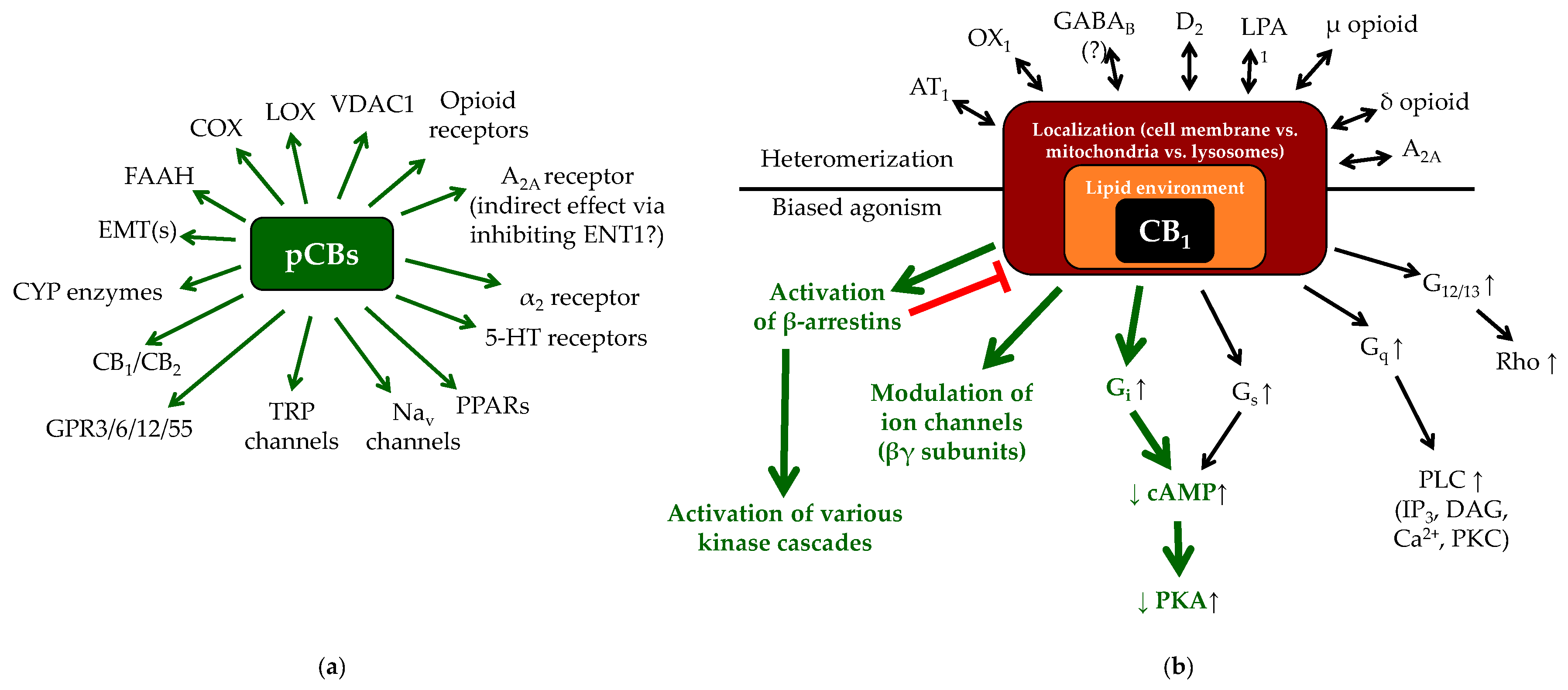 Molecules 24 00918 g002