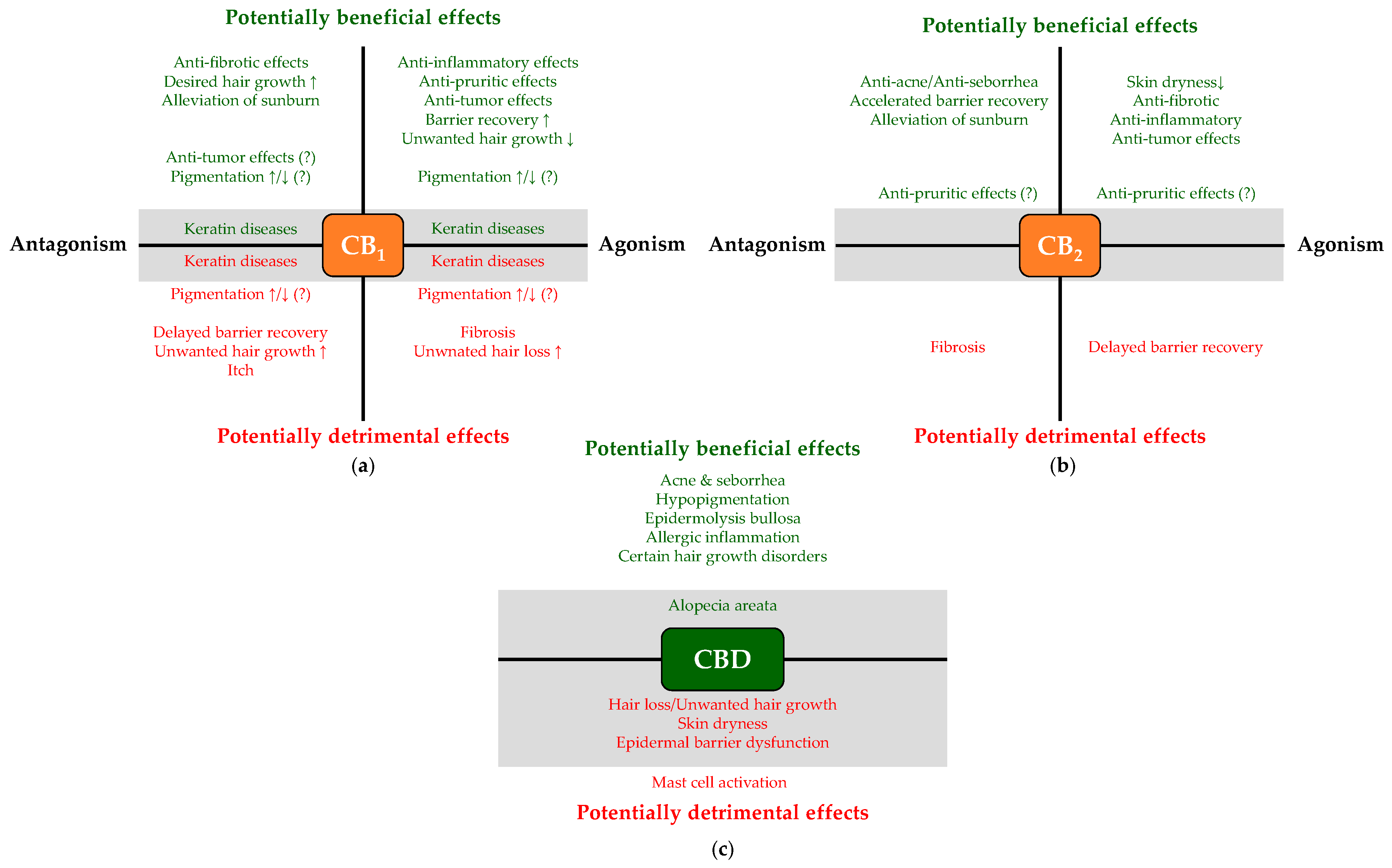 Molecules 24 00918 g003