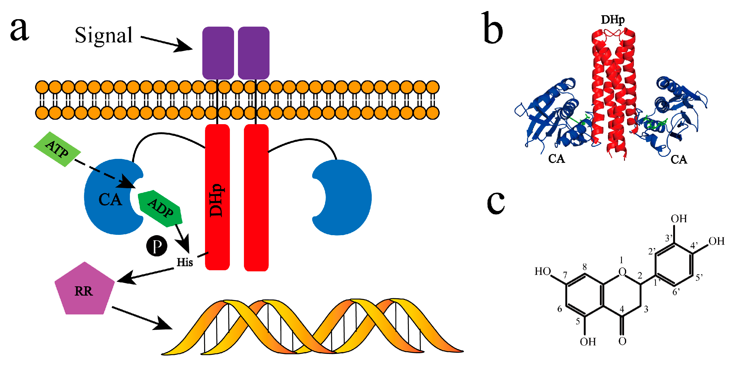 Molecules 24 00933 g001