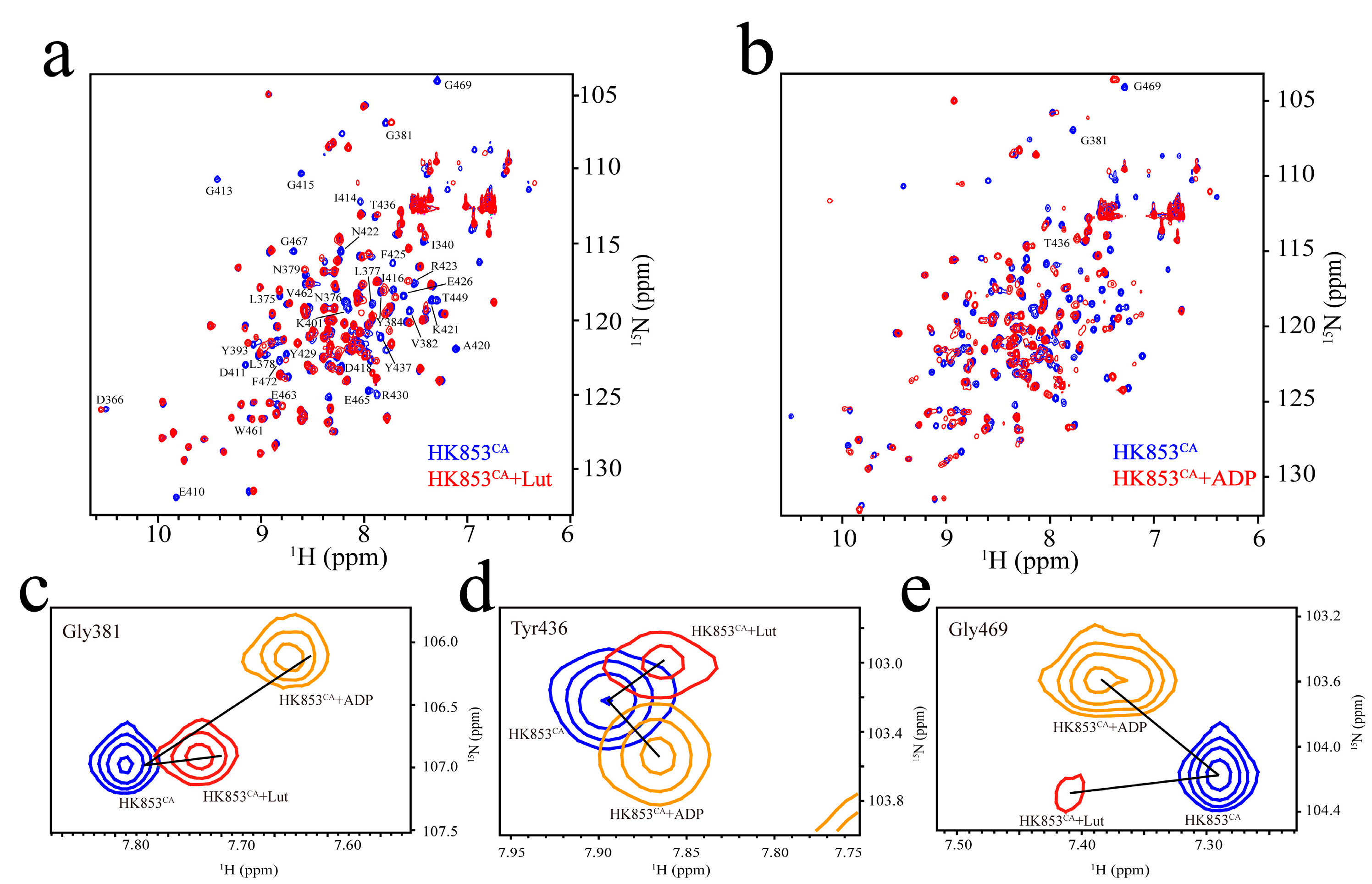Molecules 24 00933 g004