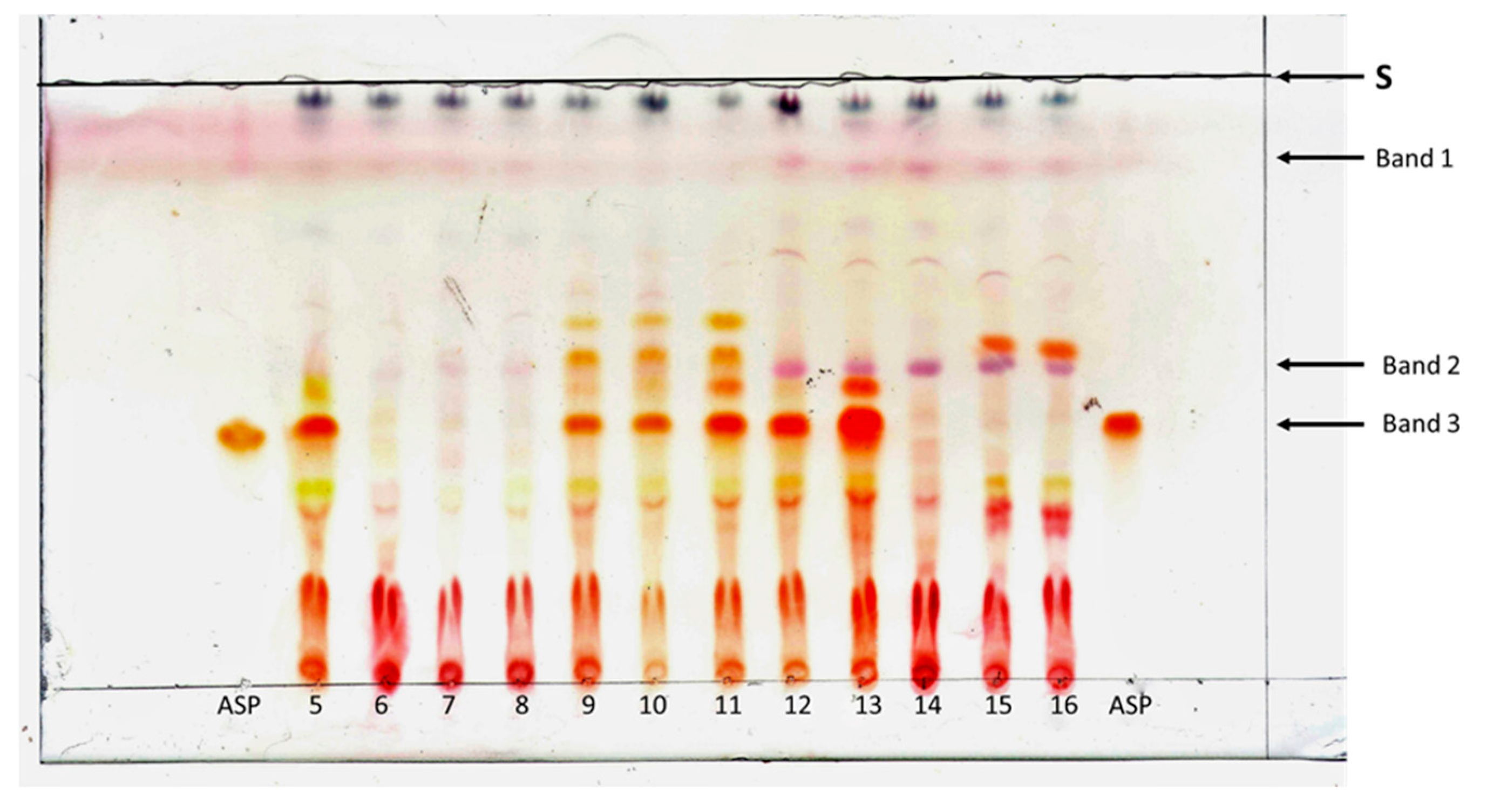 Molecules 24 00938 g004