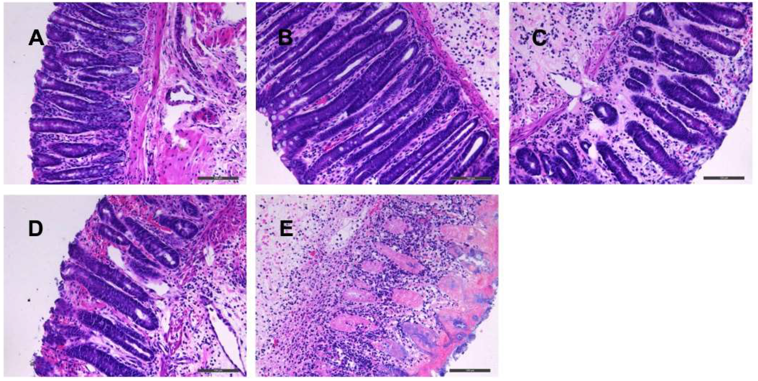 Molecules 24 00940 g003