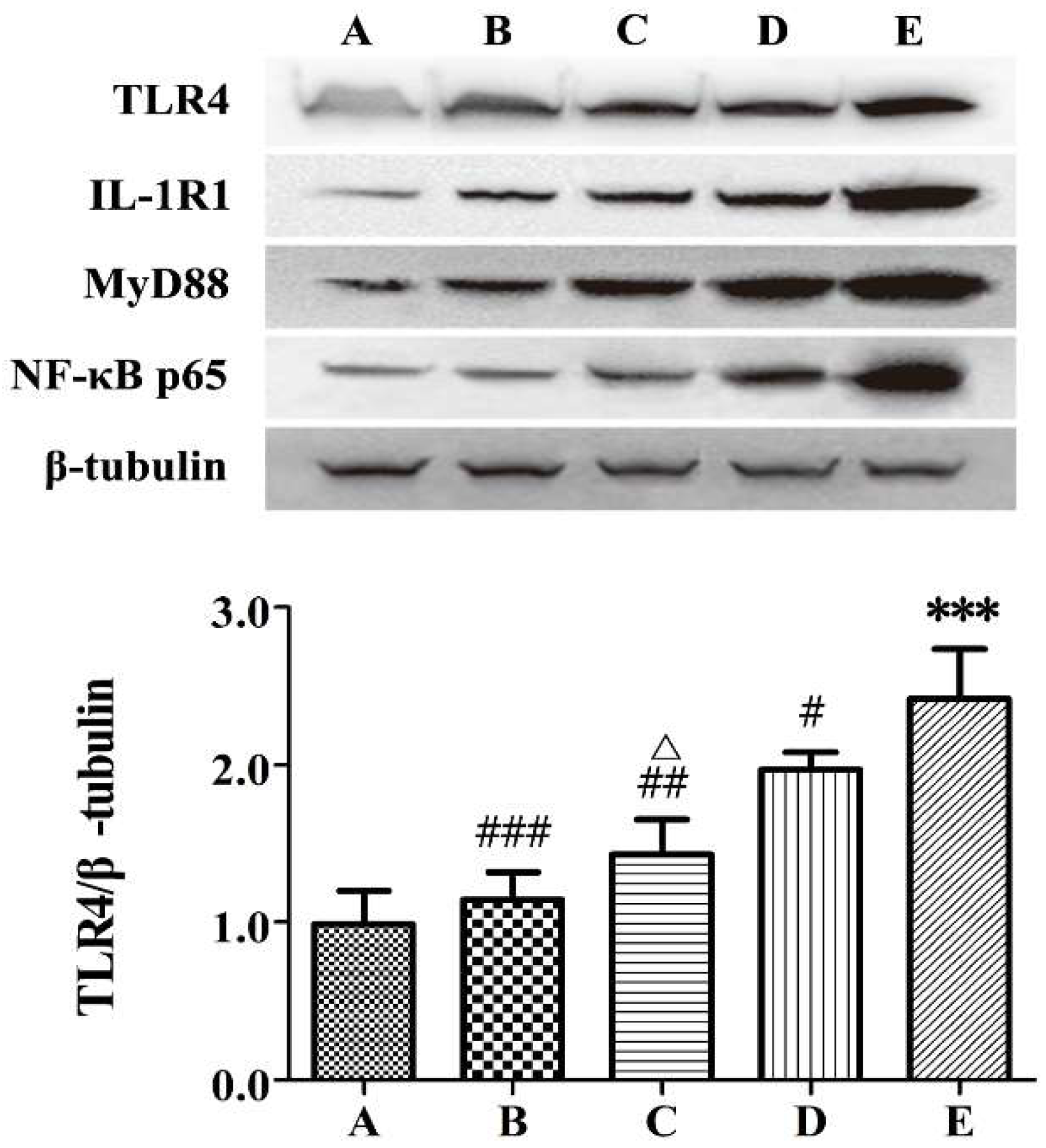Molecules 24 00940 g004a