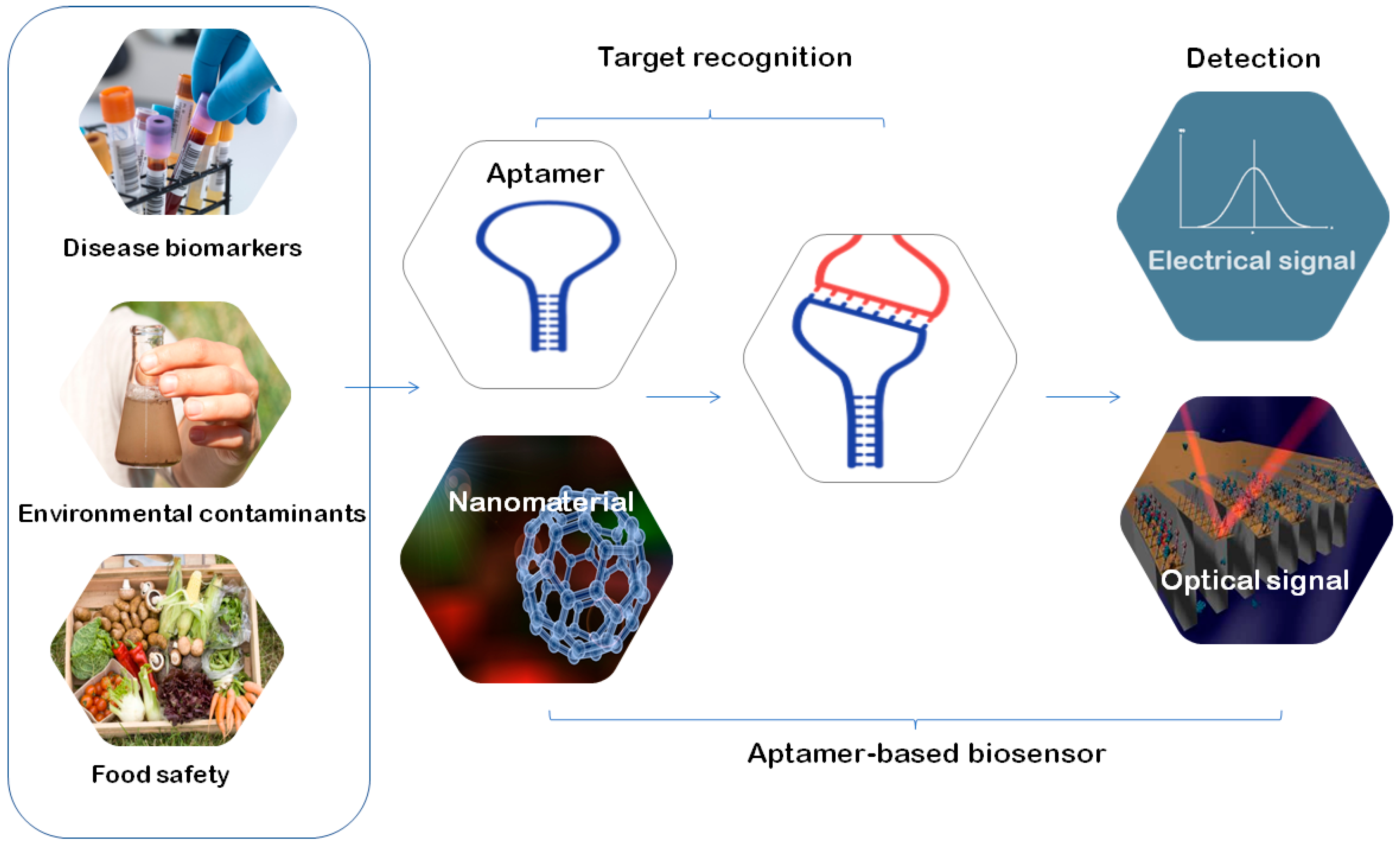 Molecules 24 00941 g003