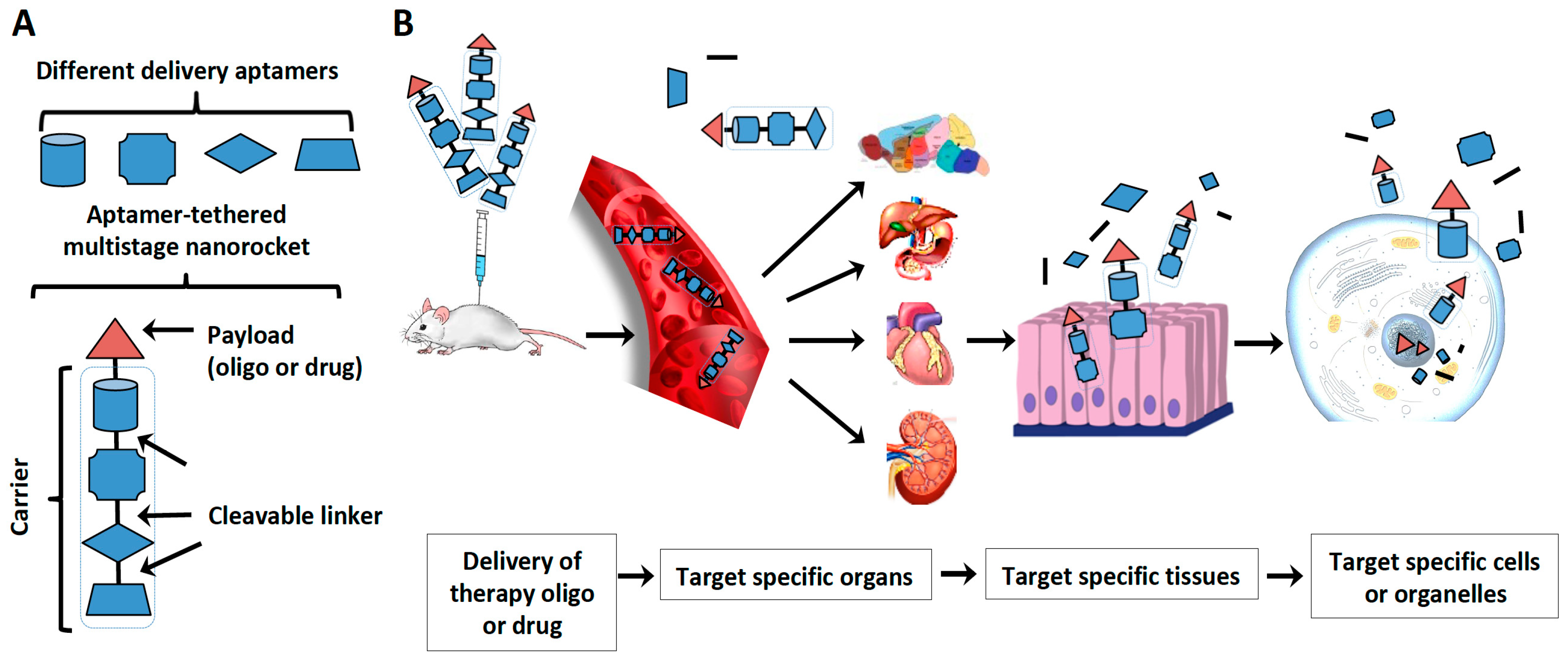 Molecules 24 00941 g004