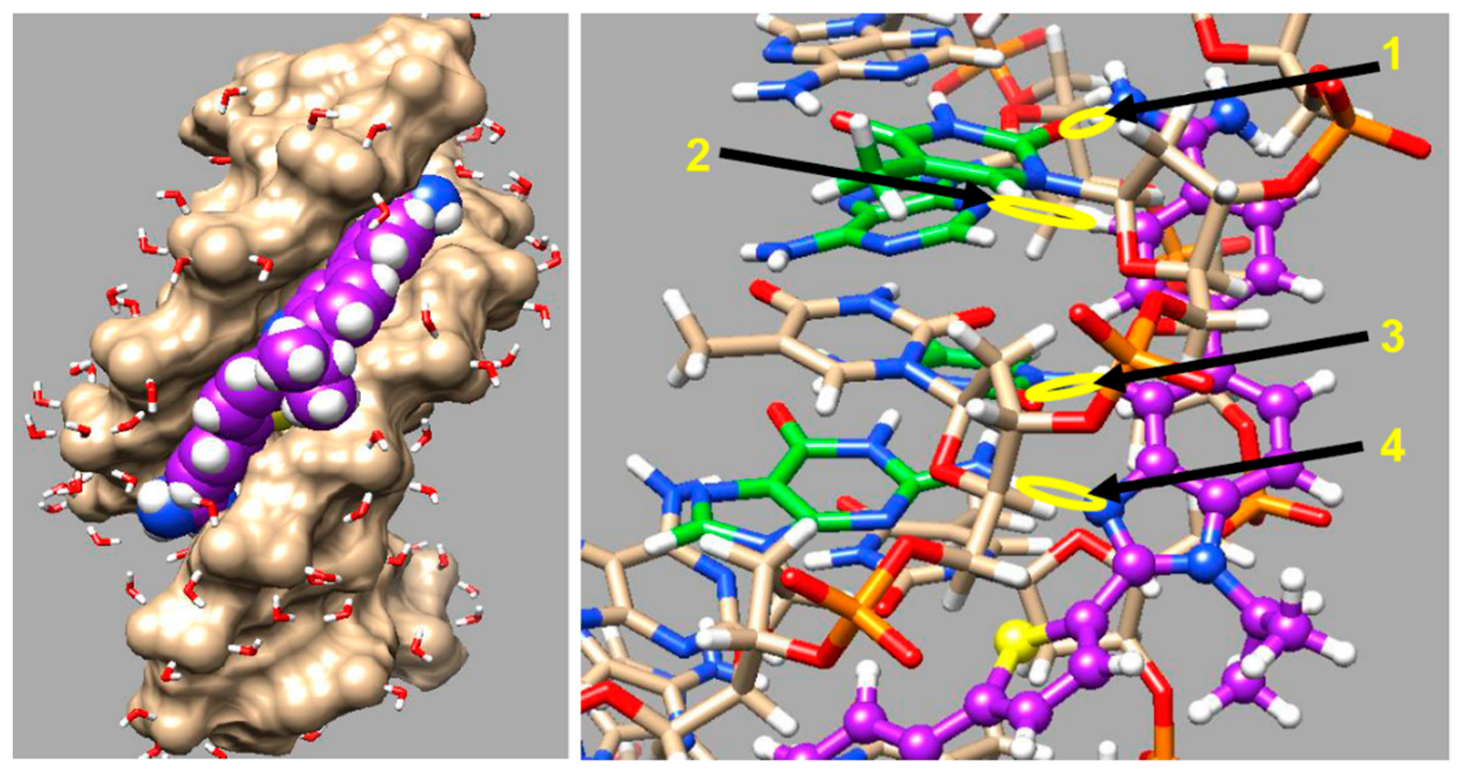 Molecules 24 00946 g008