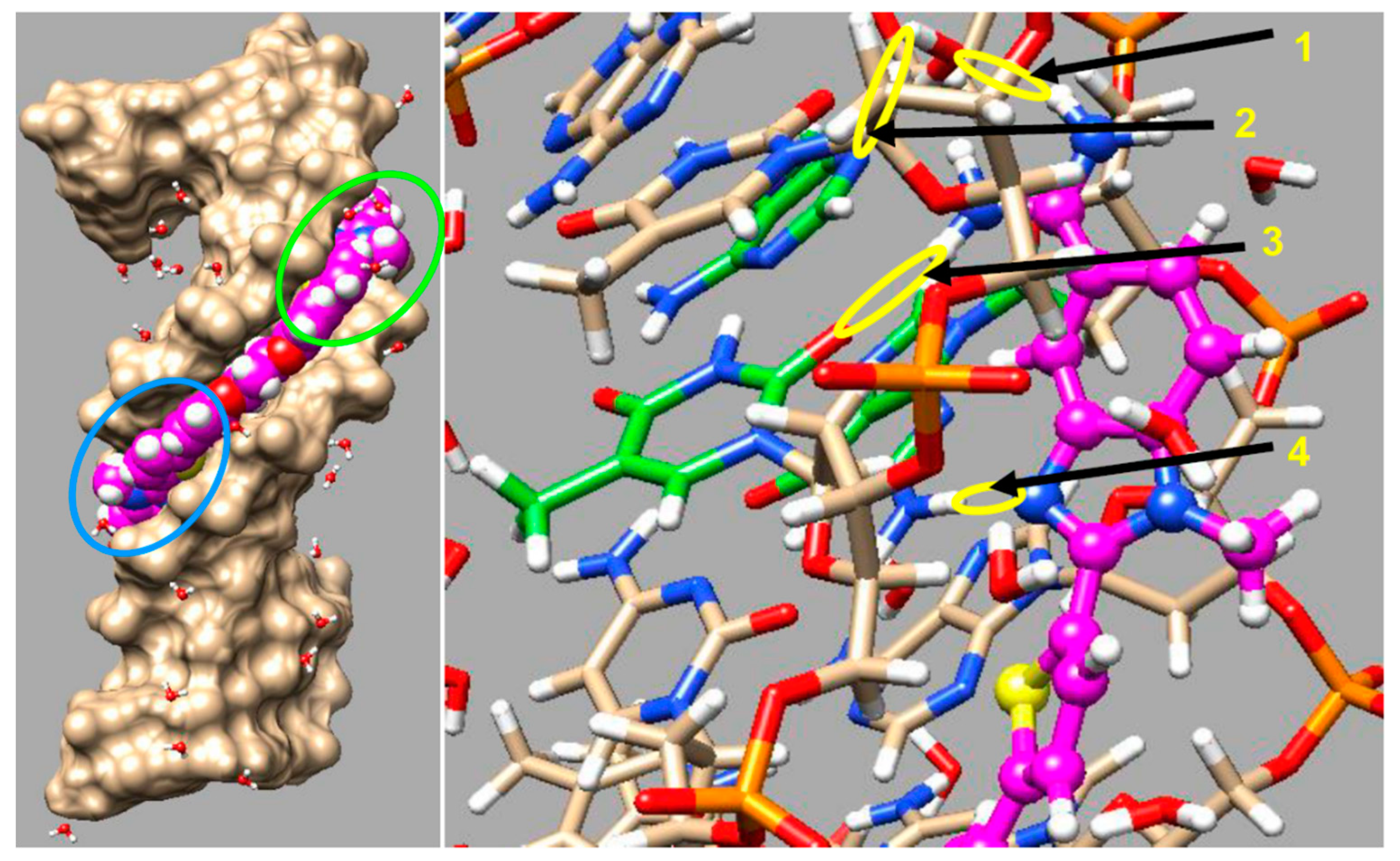 Molecules 24 00946 g011