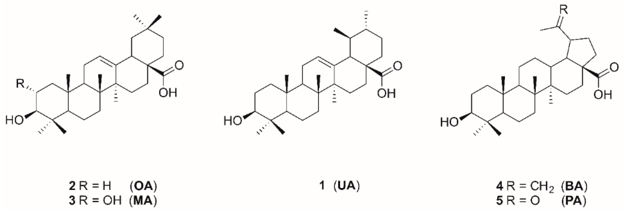 Molecules 24 00948 g001 Molecules 24 00948 g001
