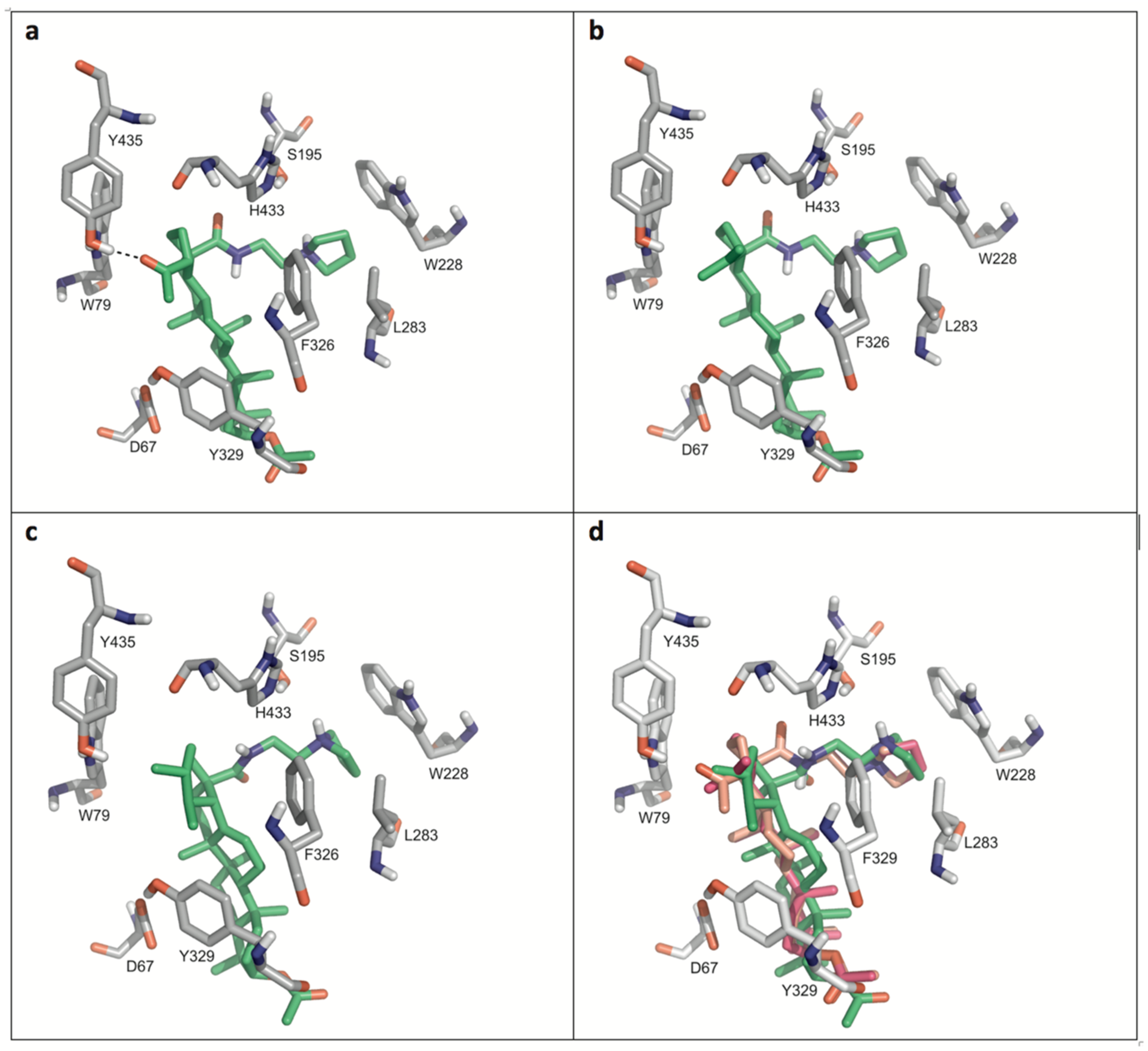 Molecules 24 00948 g004 Molecules 24 00948 g004