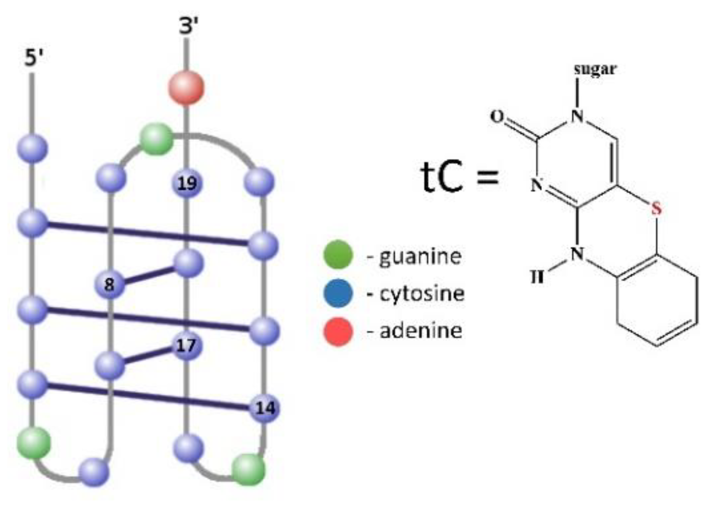 Molecules 24 00952 g001 Molecules 24 00952 g001