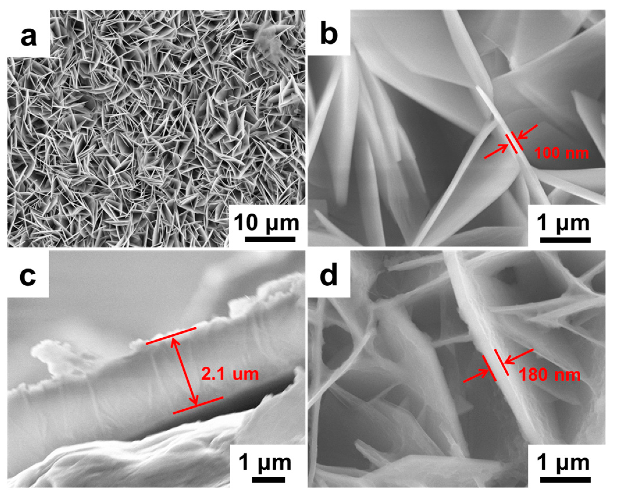 Molecules 24 00976 g004