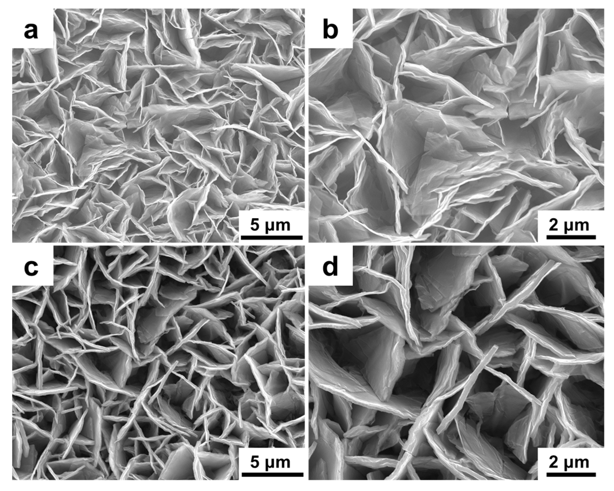 Molecules 24 00976 g010