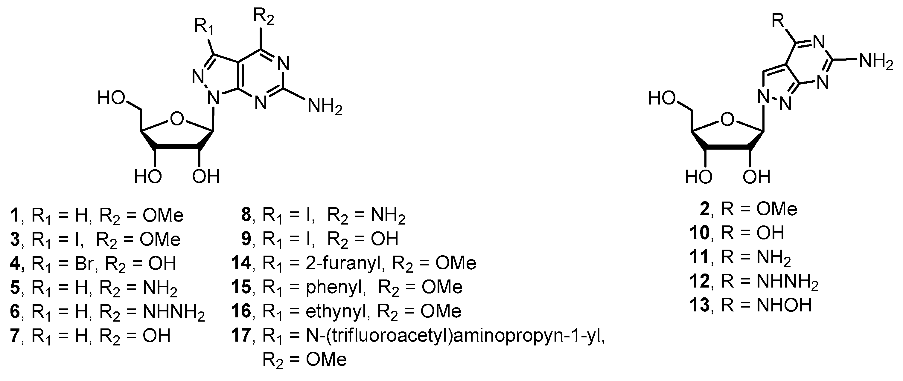 Molecules 24 00983 g001