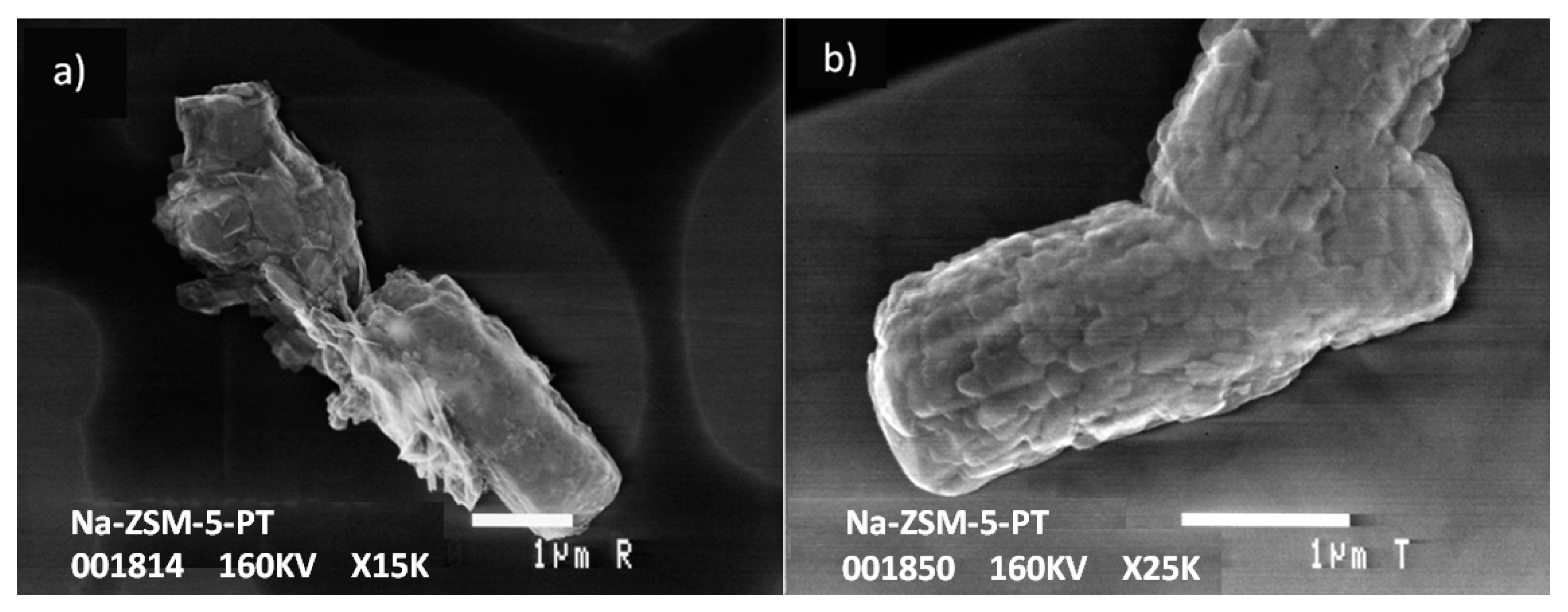 Molecules 24 00992 g001
