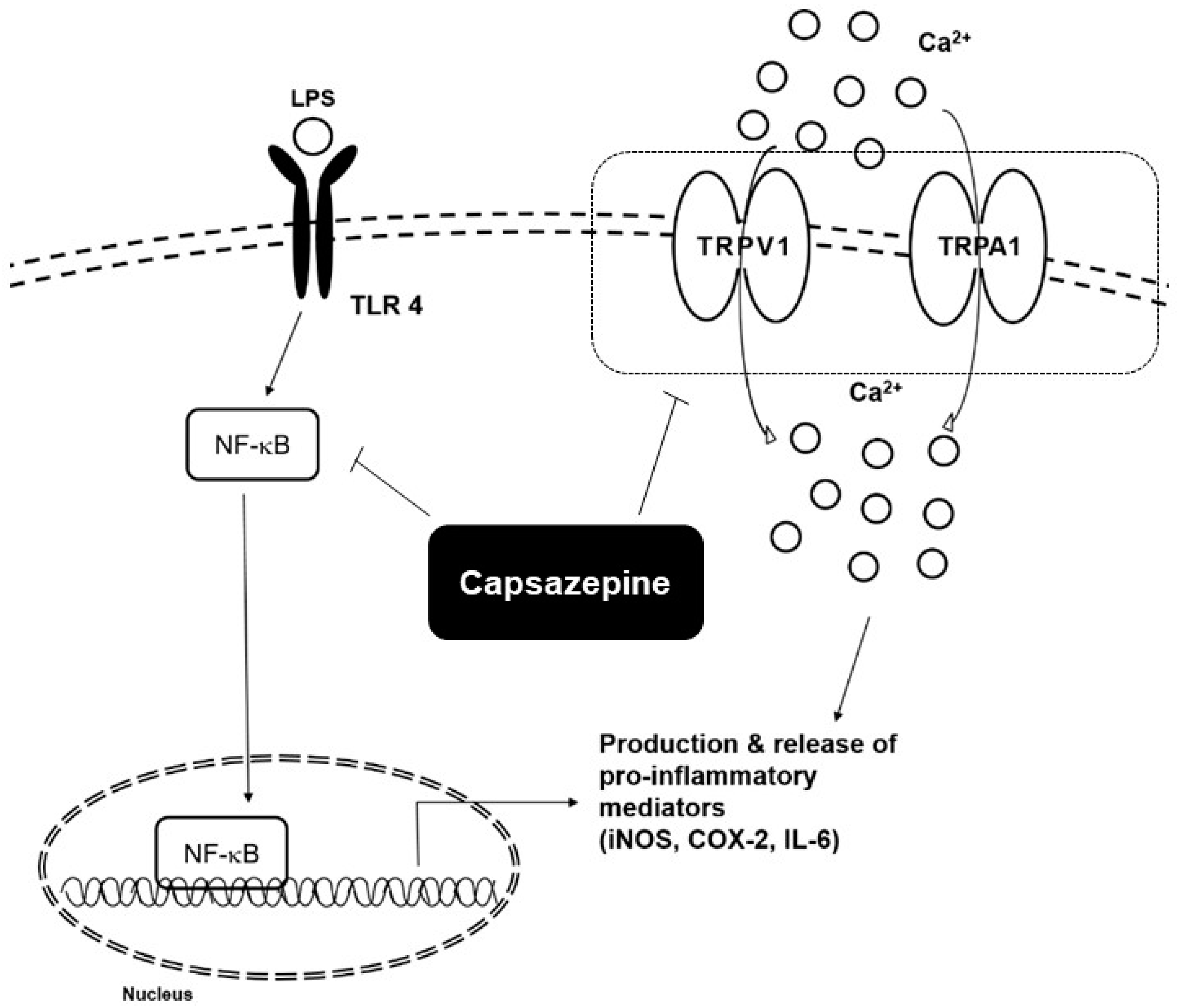 Molecules 24 00995 g004