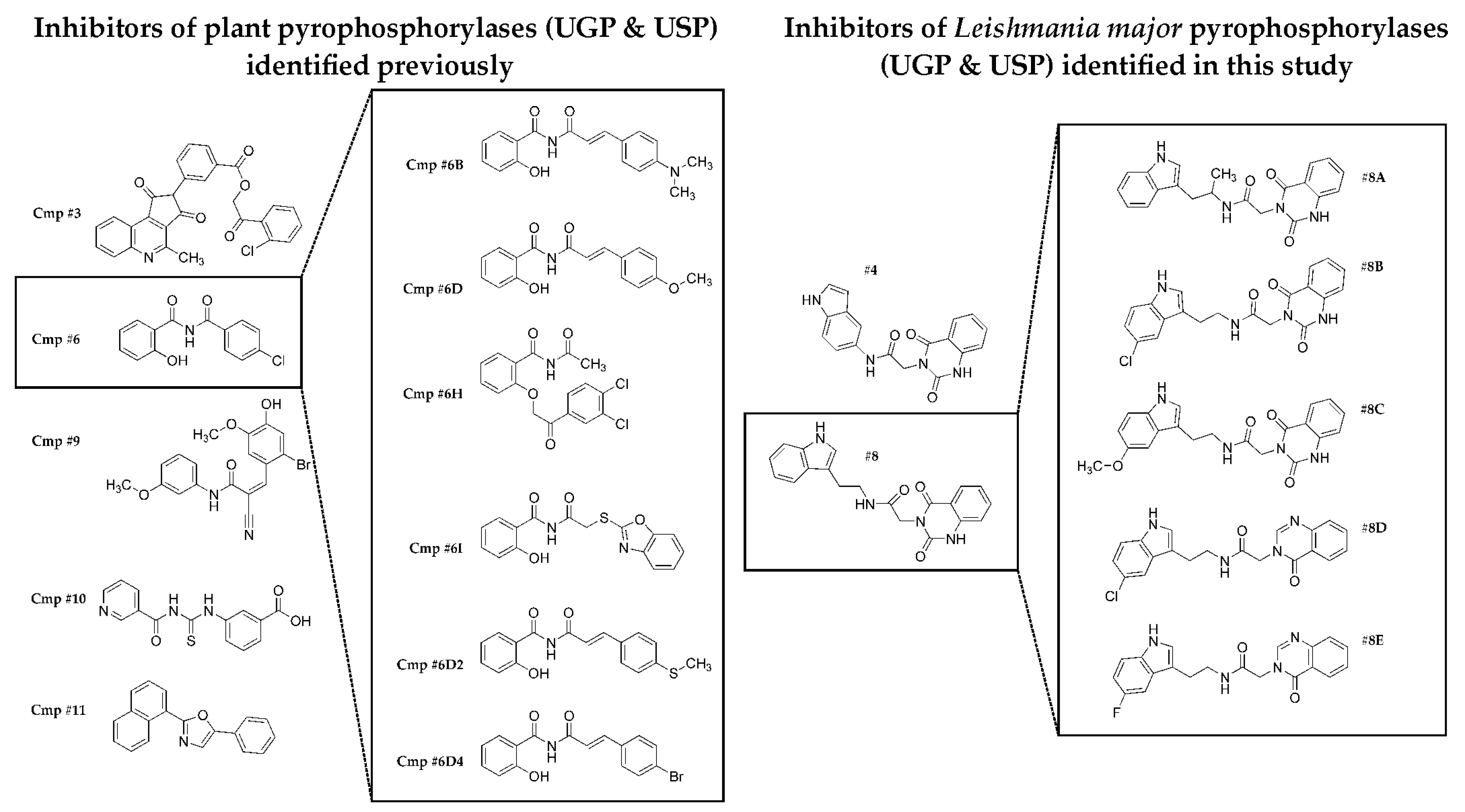 Molecules 24 00996 g006