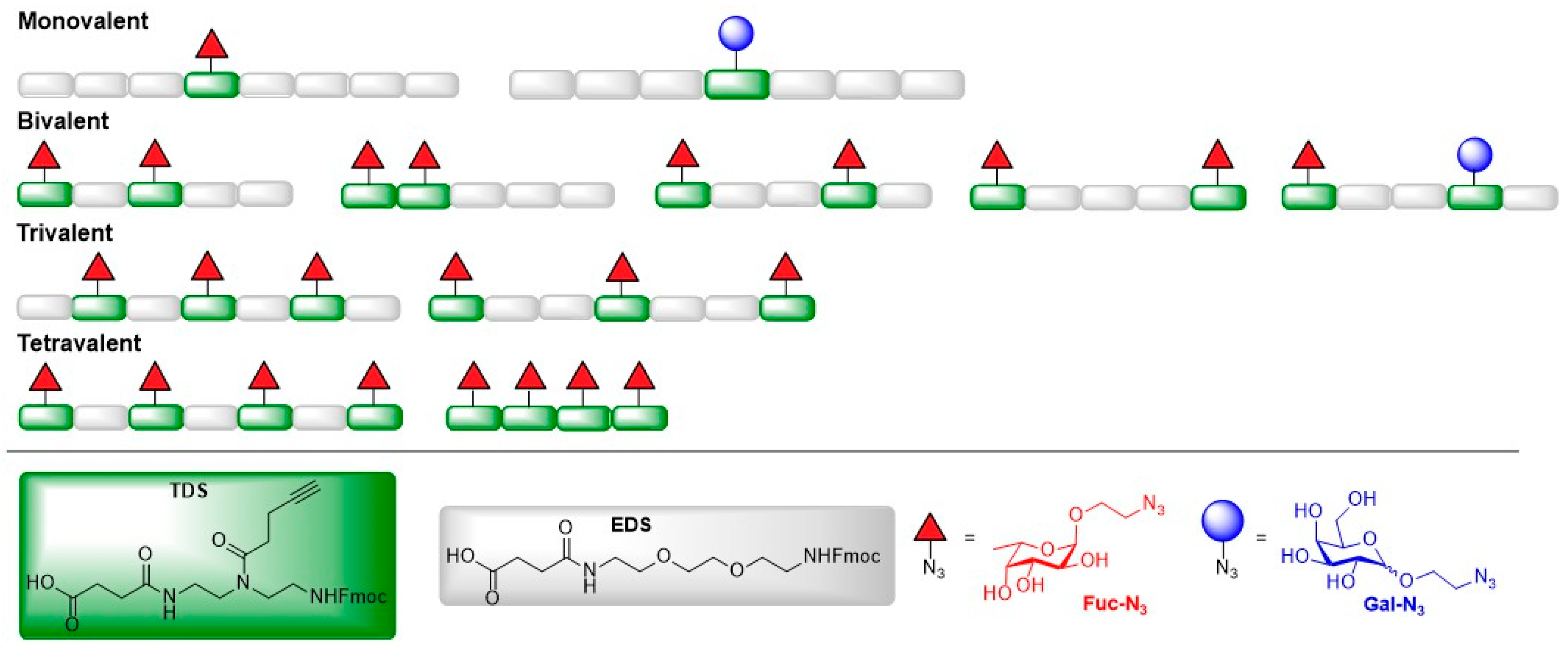 Molecules 24 01004 g017 Molecules 24 01004 g017