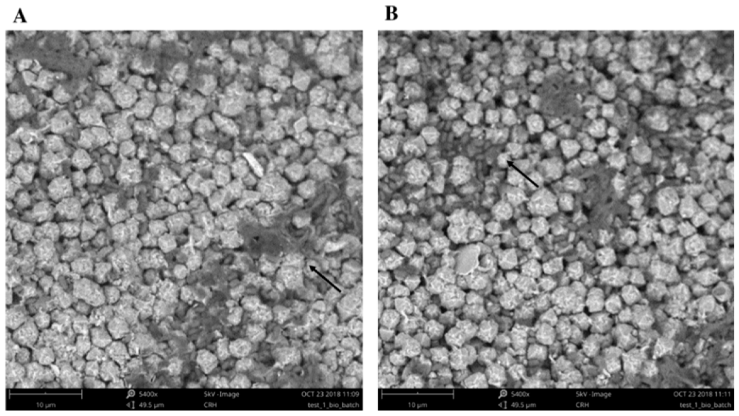 Molecules 24 01005 g006 Molecules 24 01005 g006
