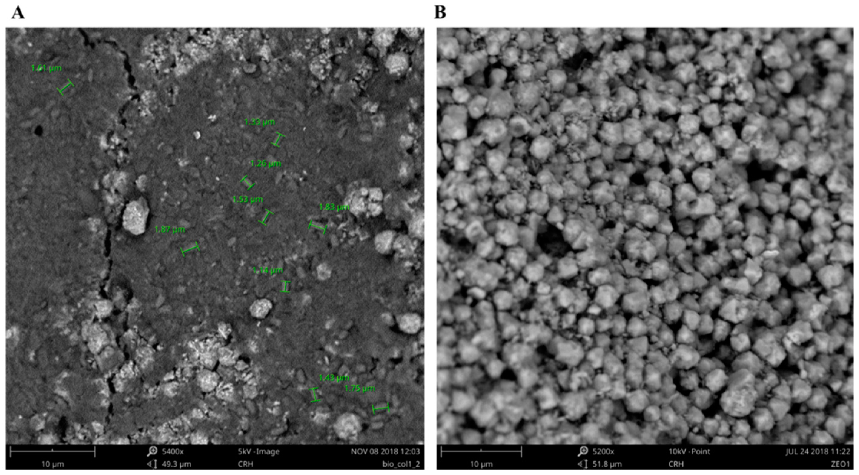Molecules 24 01005 g010 Molecules 24 01005 g010