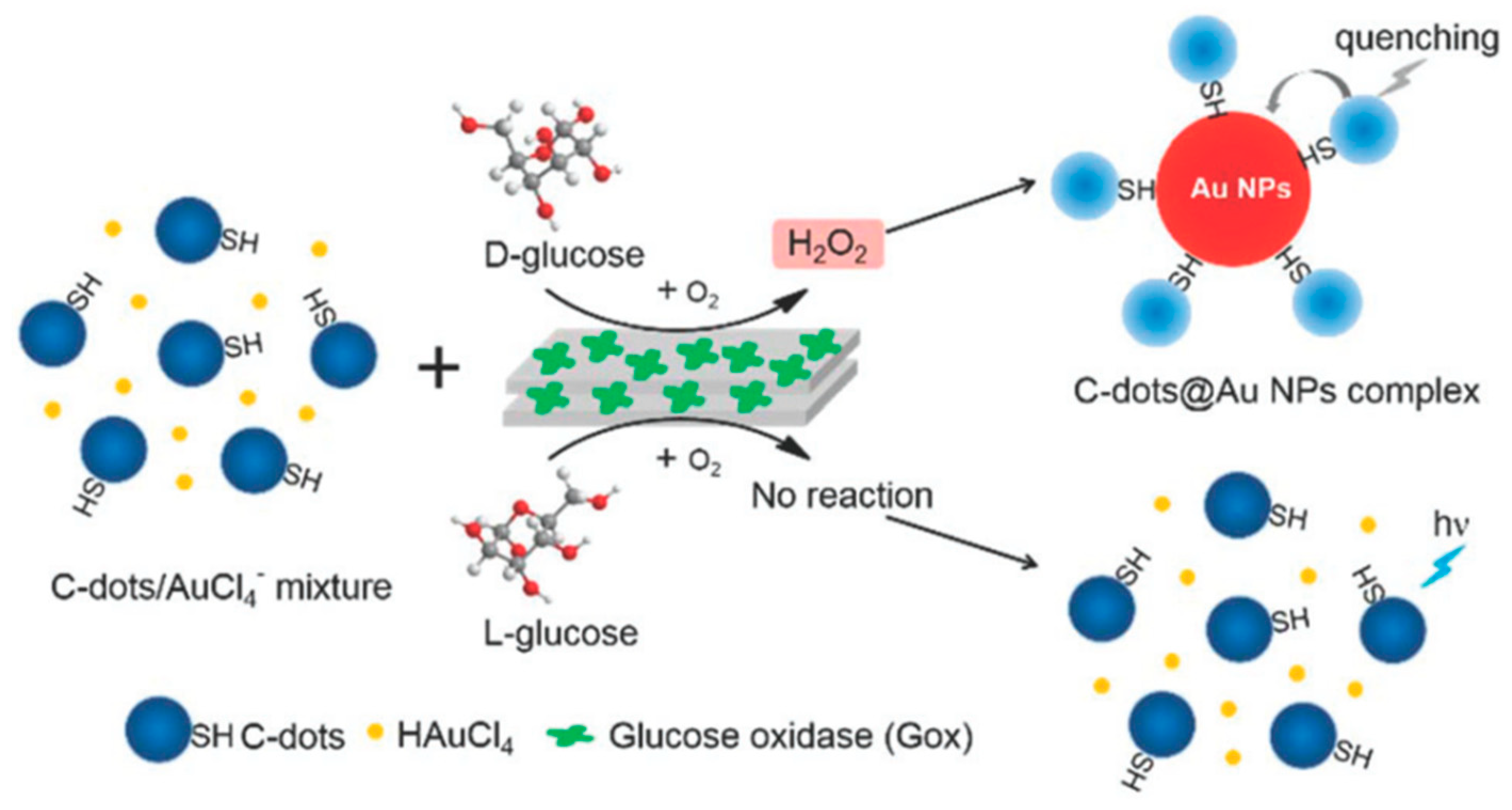 Molecules 24 01007 g004