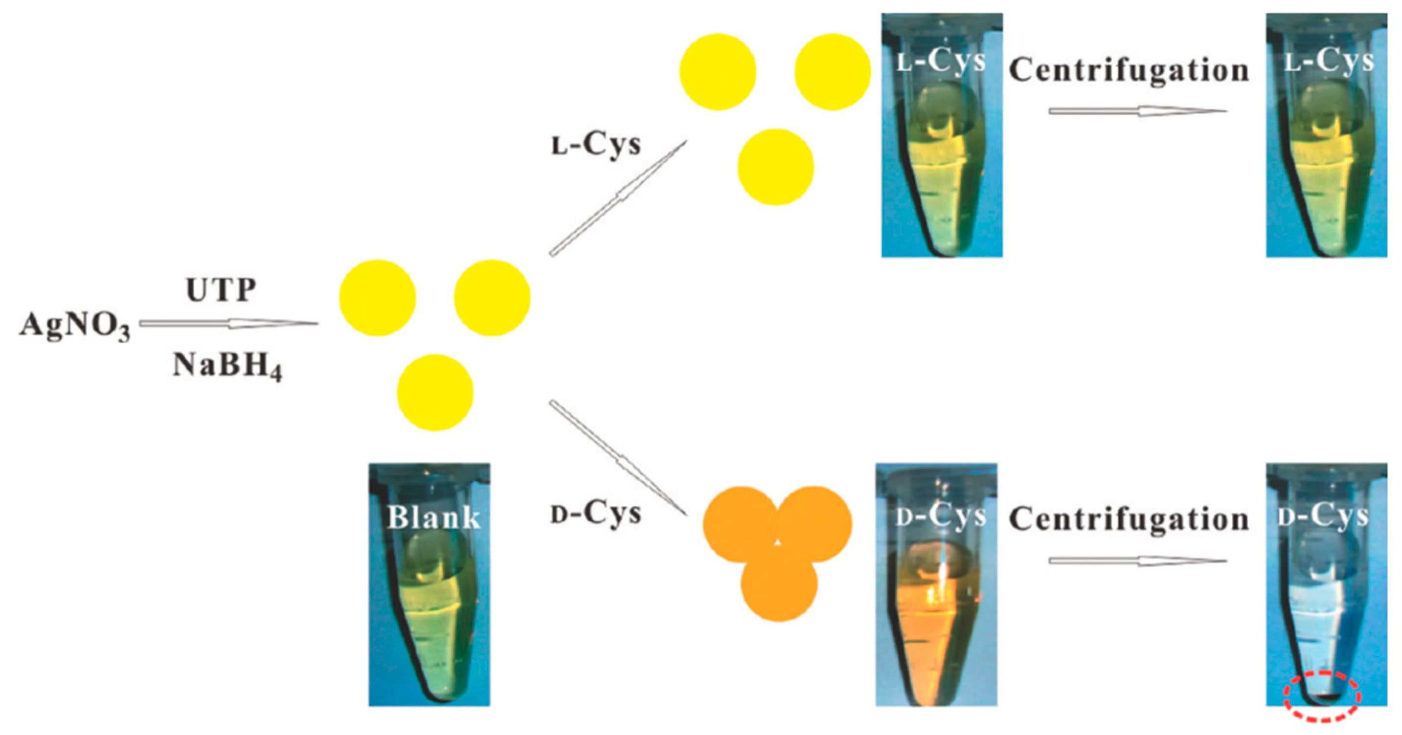 Molecules 24 01007 g006