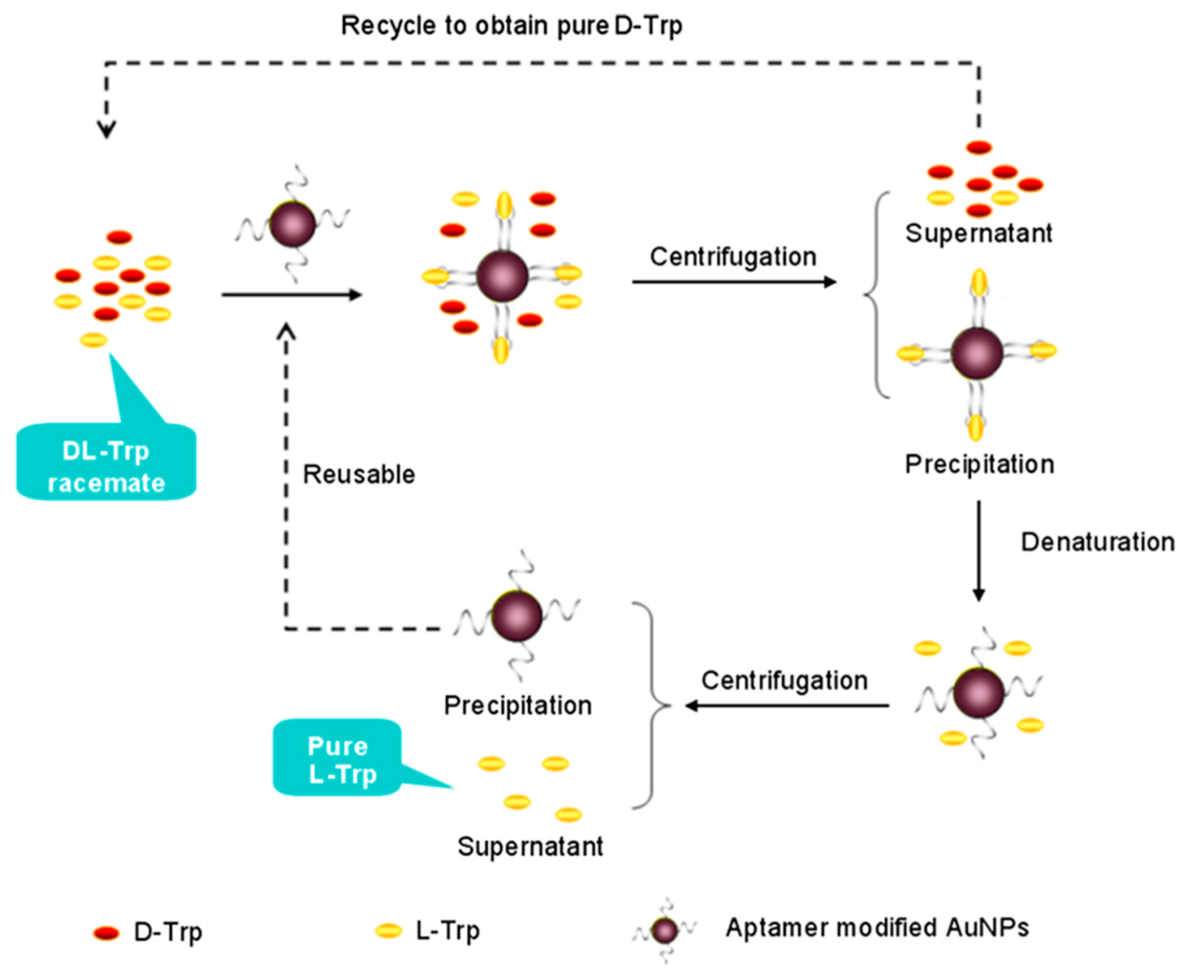Molecules 24 01007 g007
