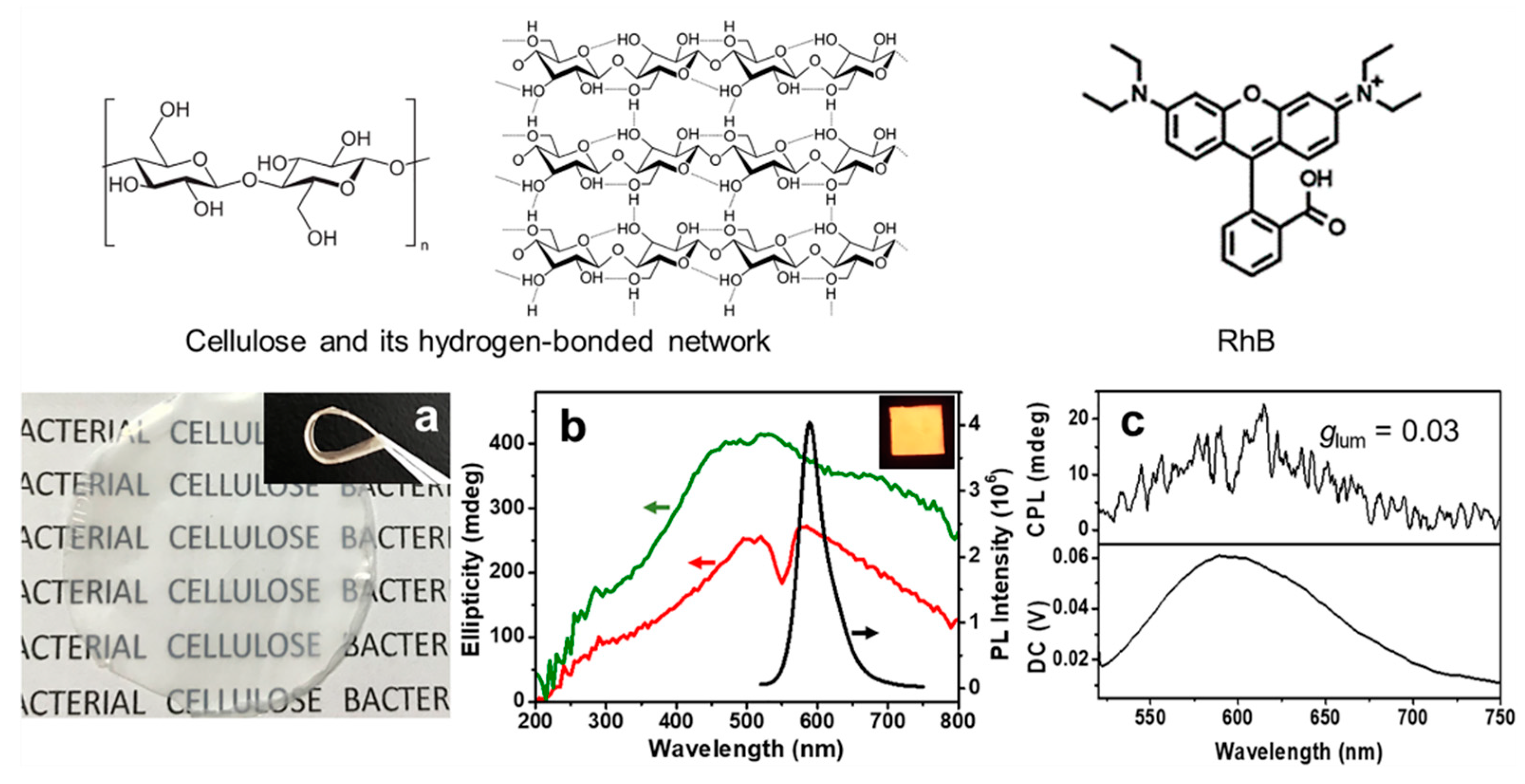 Molecules 24 01008 g001