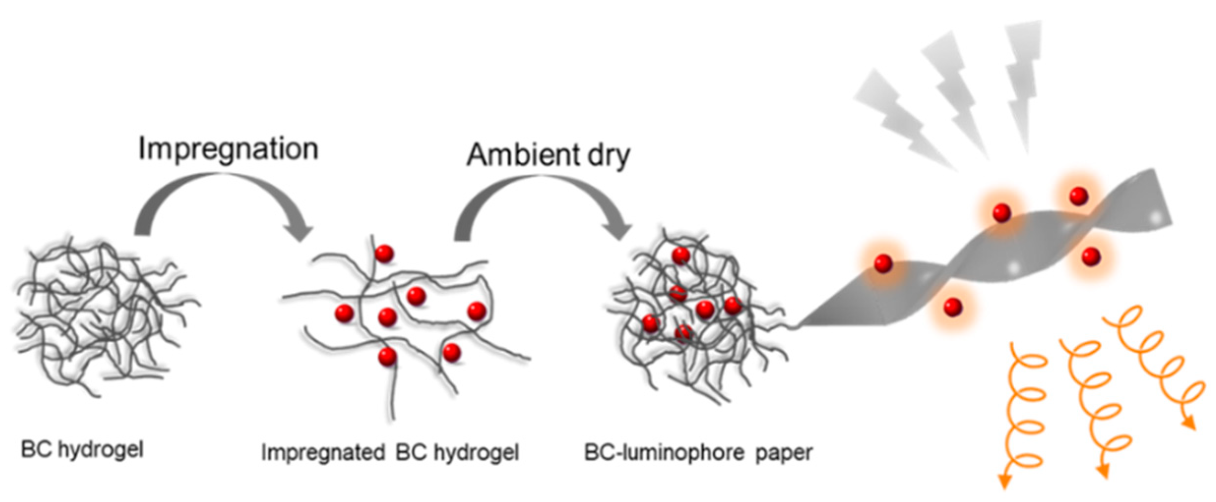 Molecules 24 01008 sch001