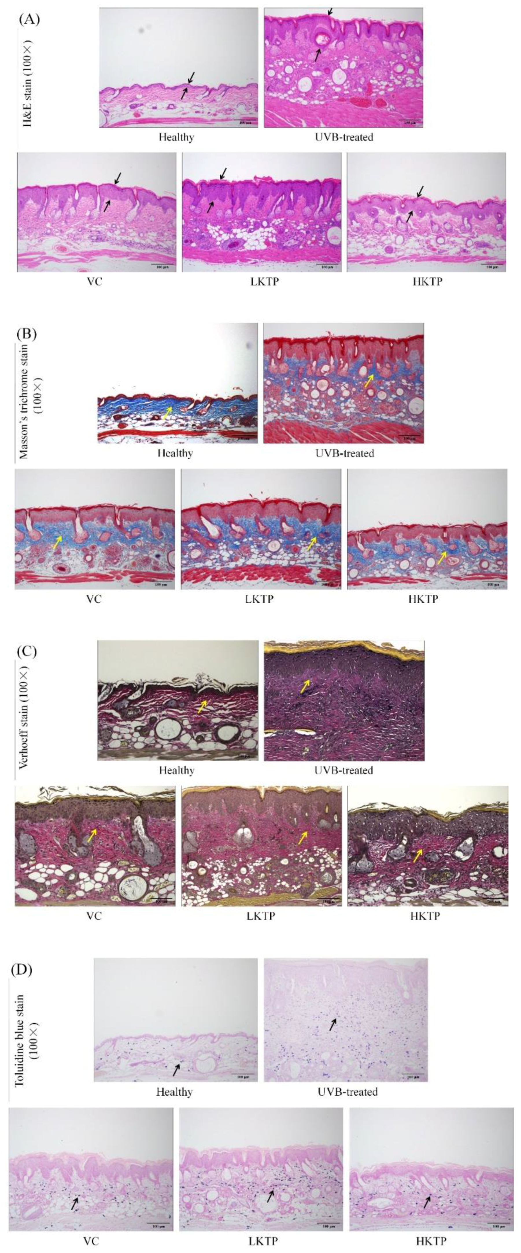 Molecules 24 01016 g003