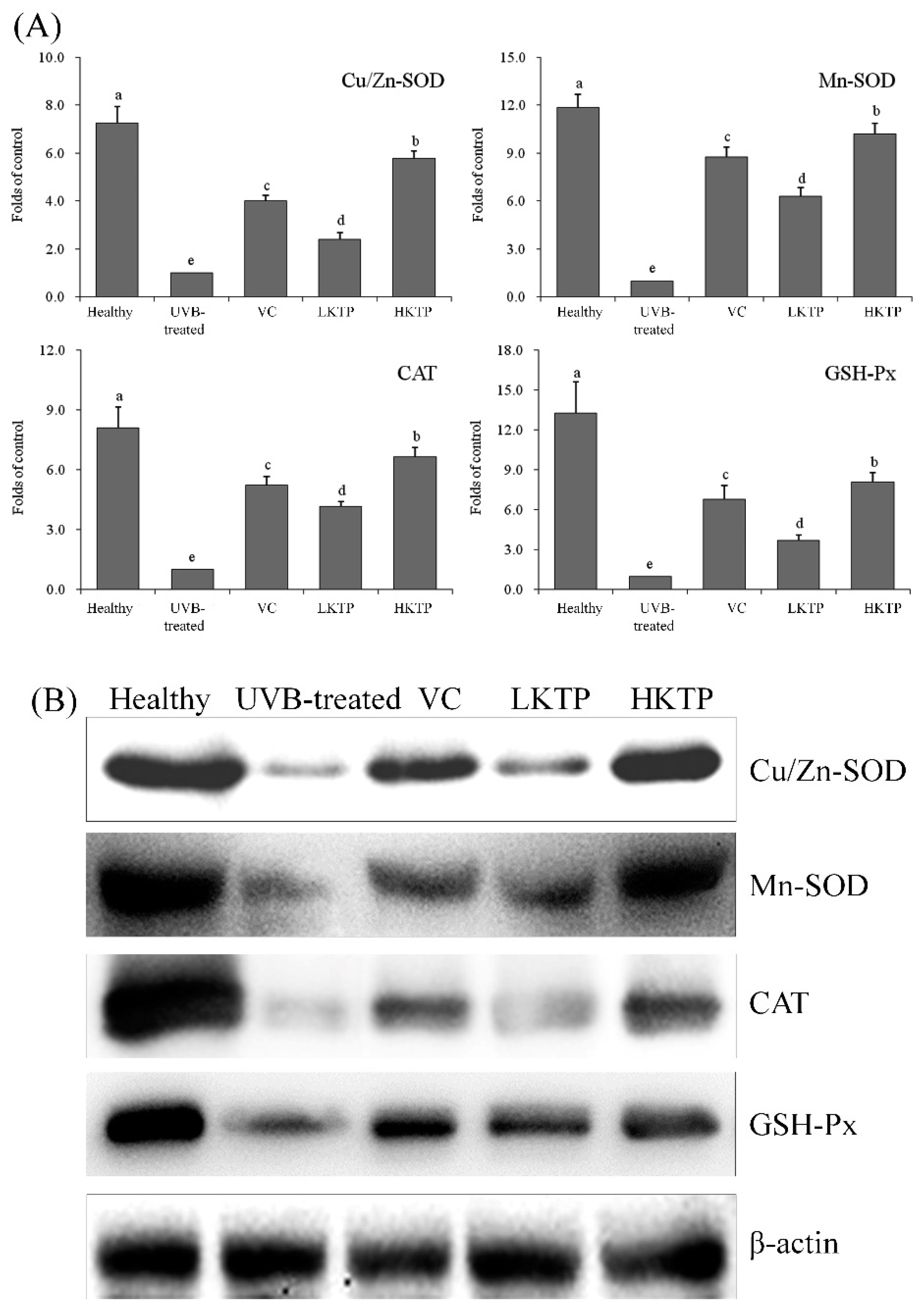 Molecules 24 01016 g005