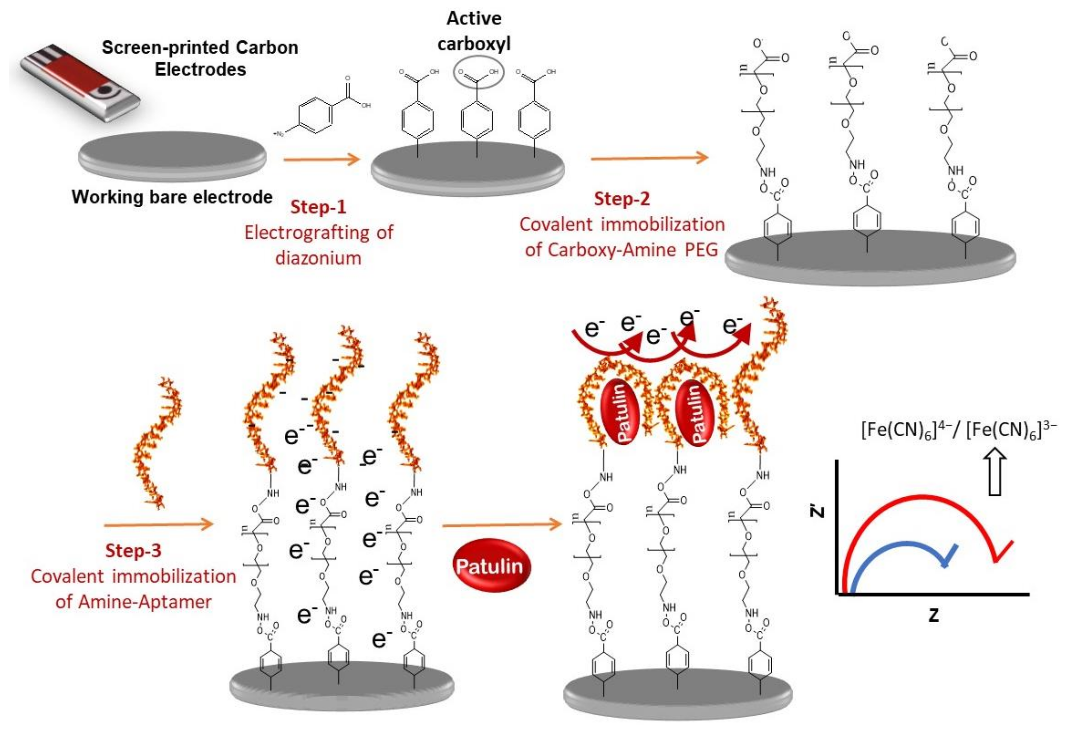 Molecules 24 01017 sch001
