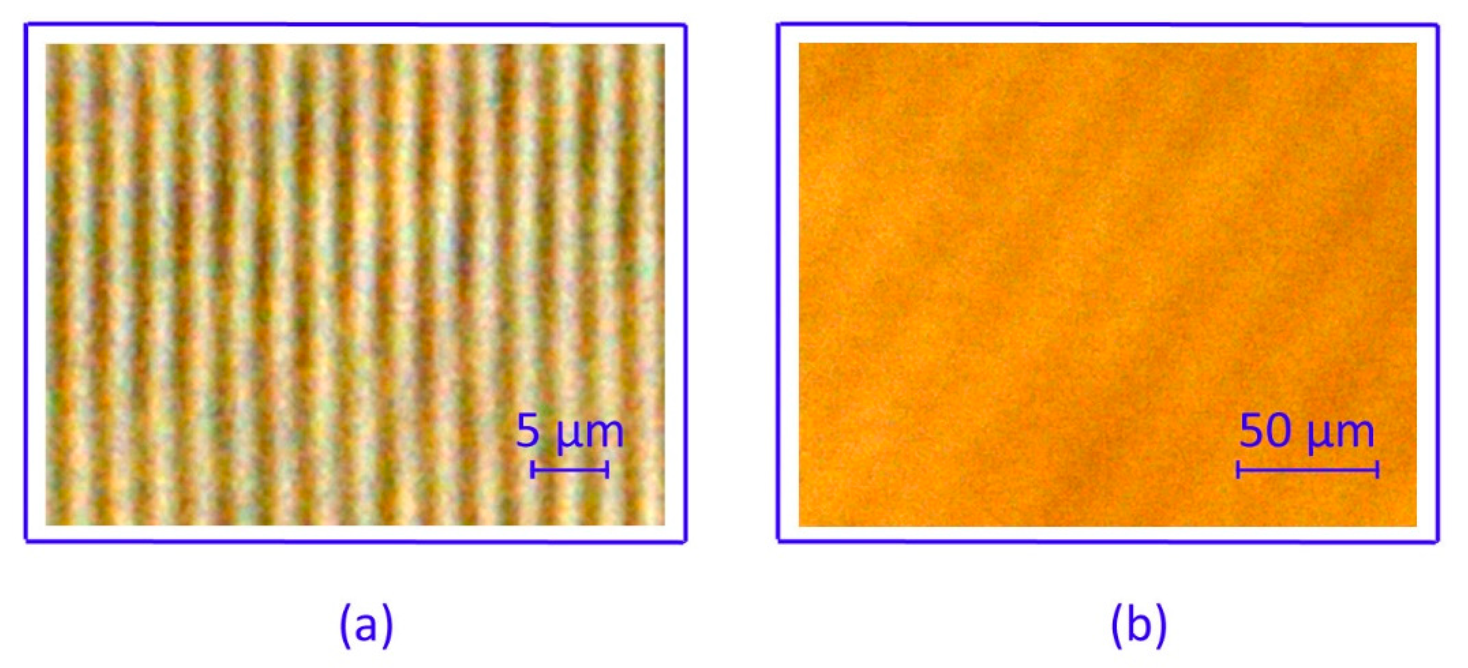 Molecules 24 01018 g001 Molecules 24 01018 g001