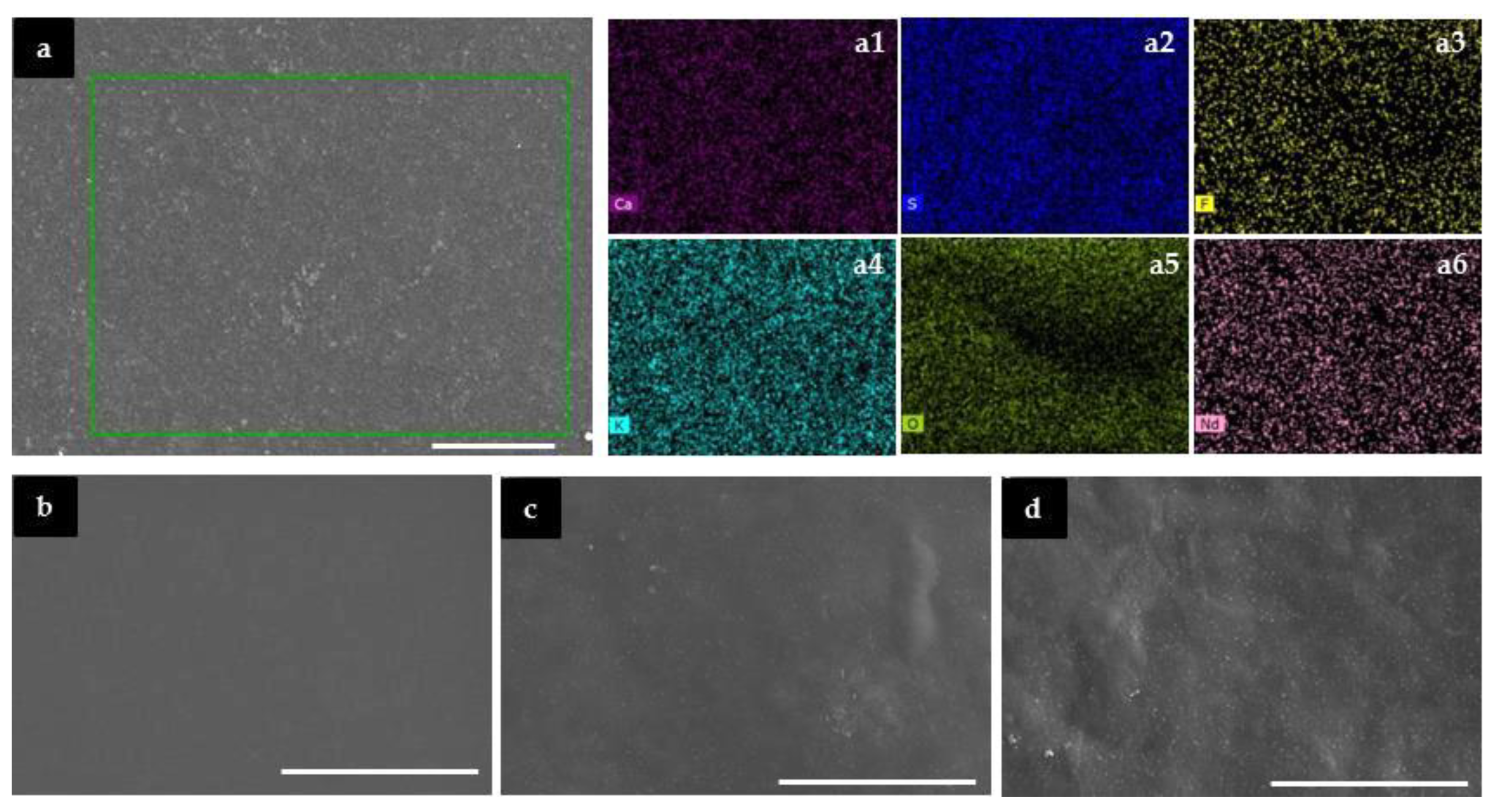 Molecules 24 01020 g003