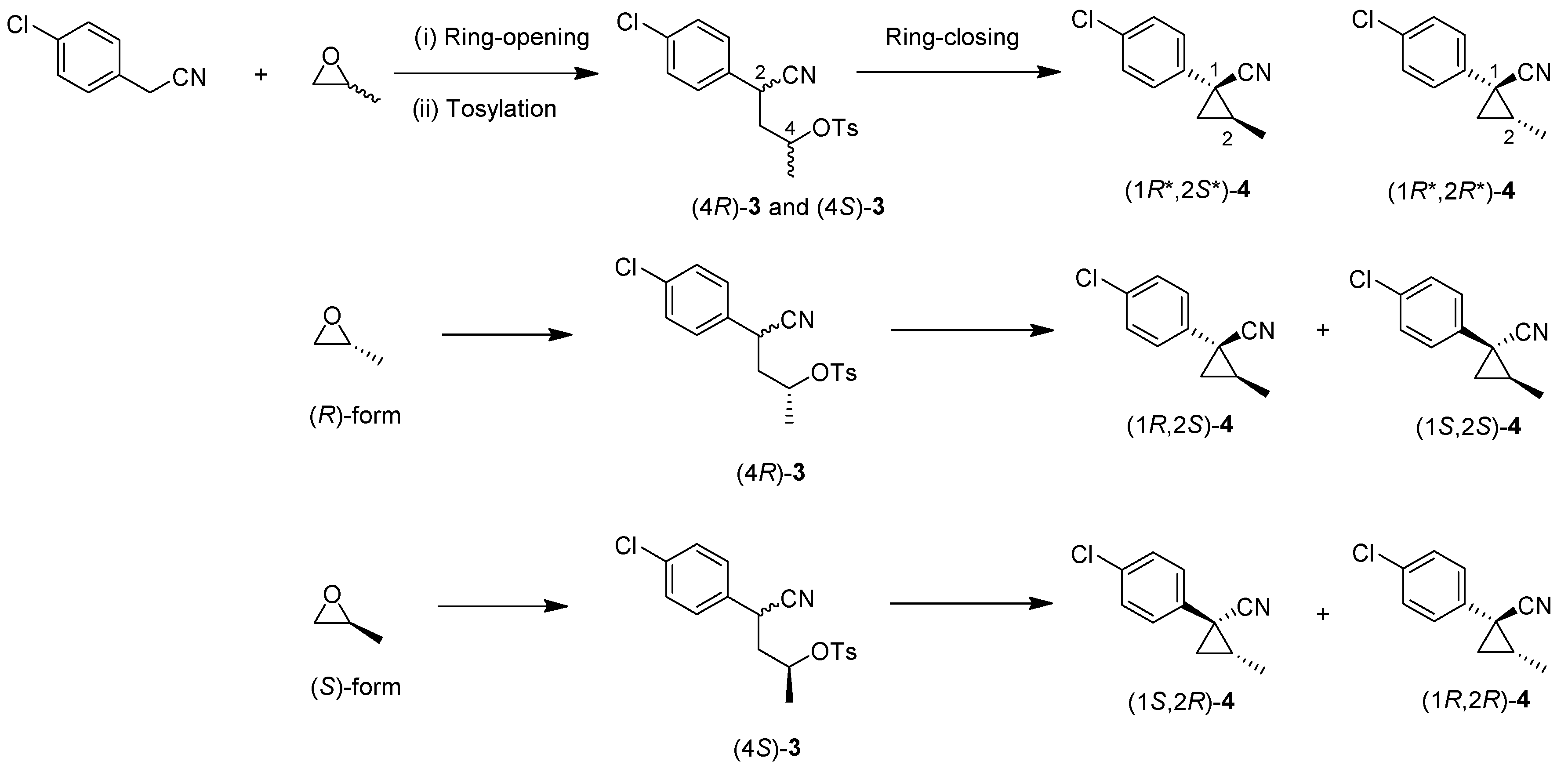 Molecules 24 01023 sch002
