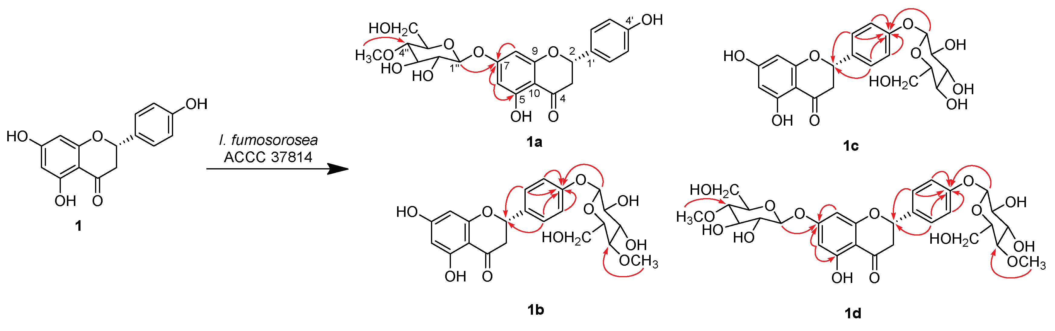 Molecules 24 01028 sch001
